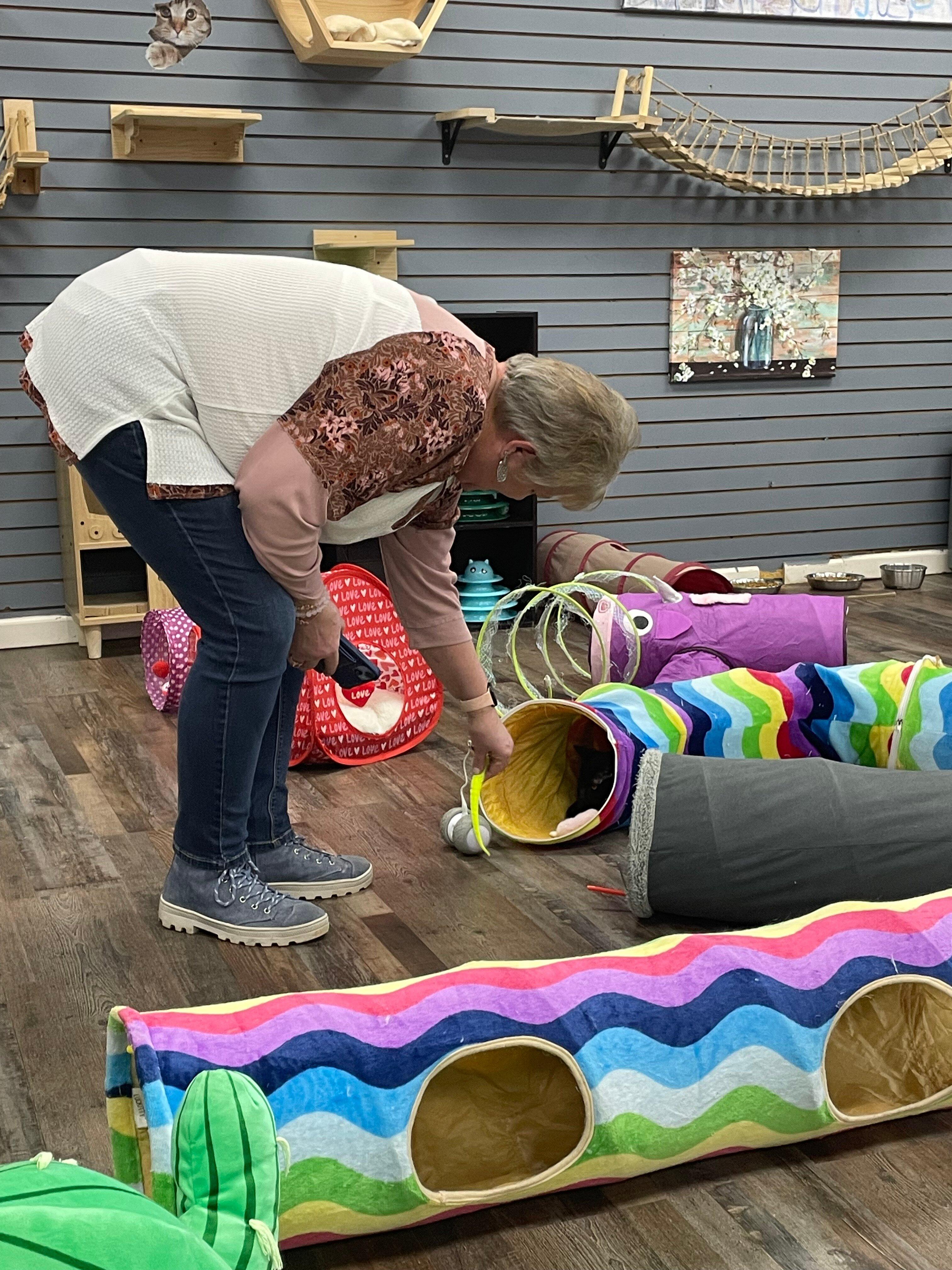 The Catio Cat Lounge