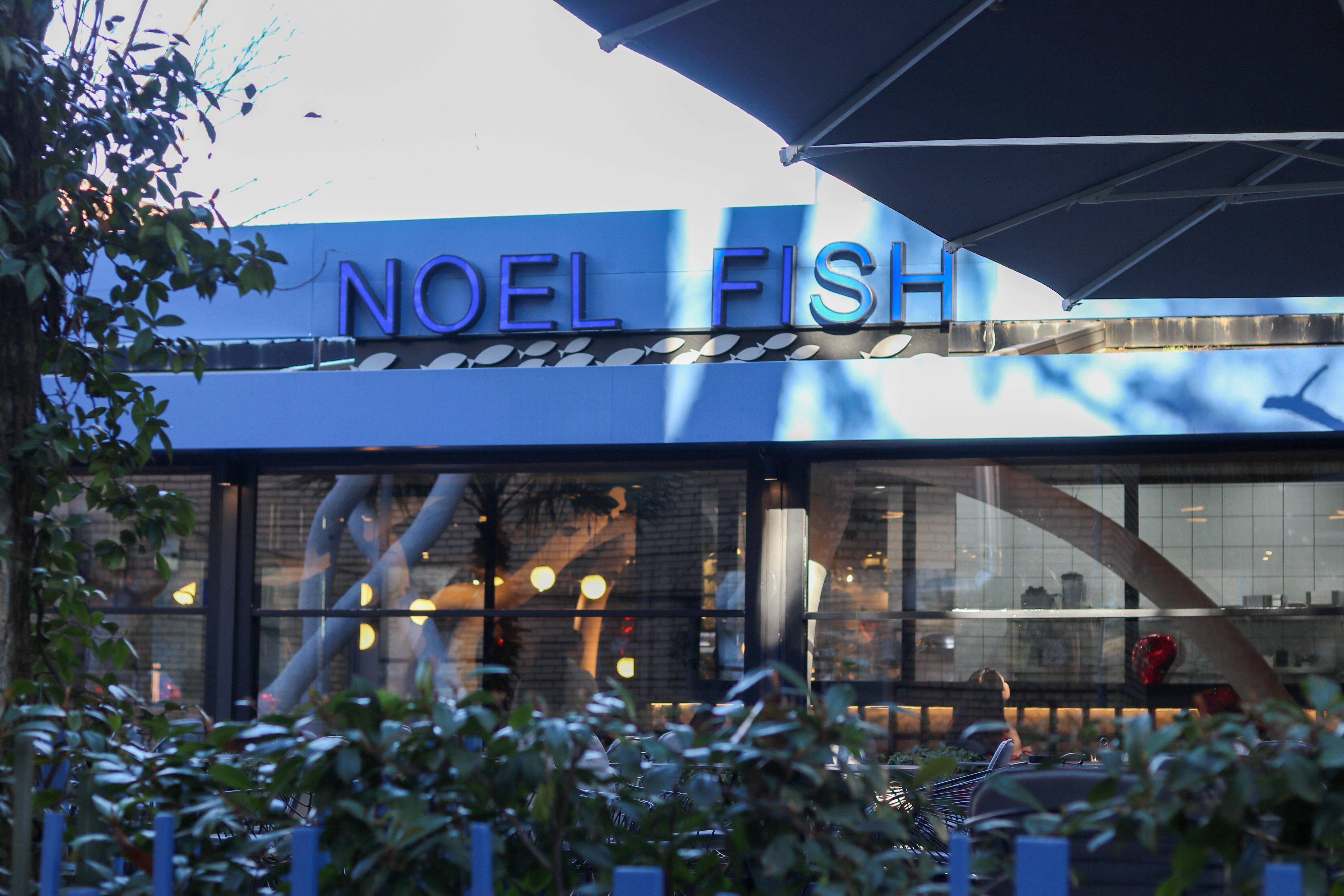 Noel Fish