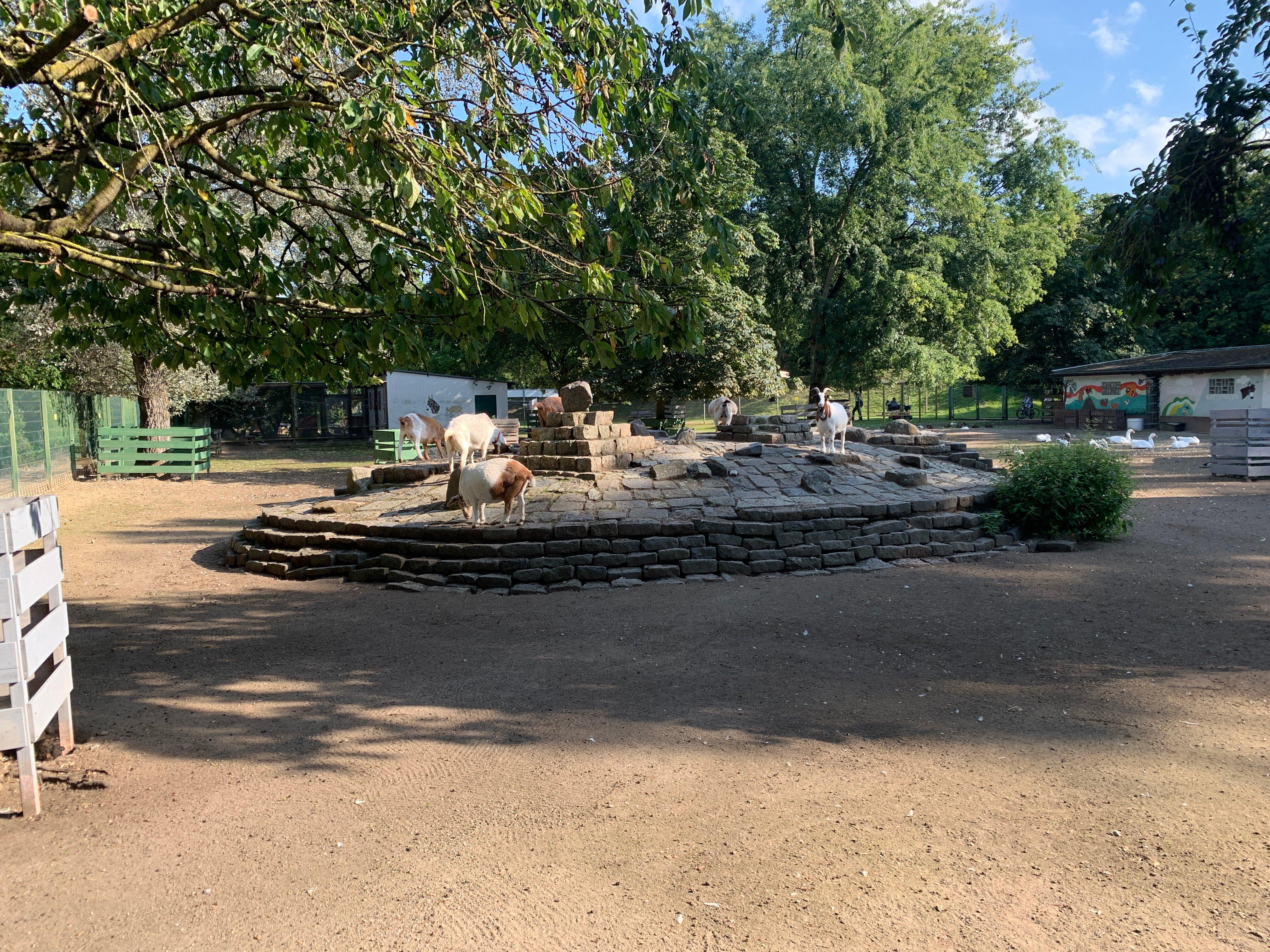 Tierpark Hattersheim E.v.