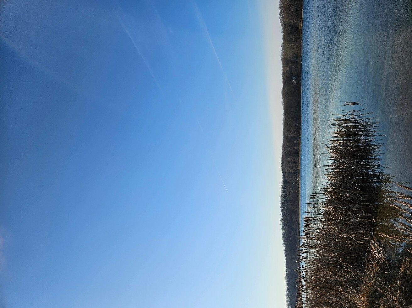 Photo by emilywyatt25