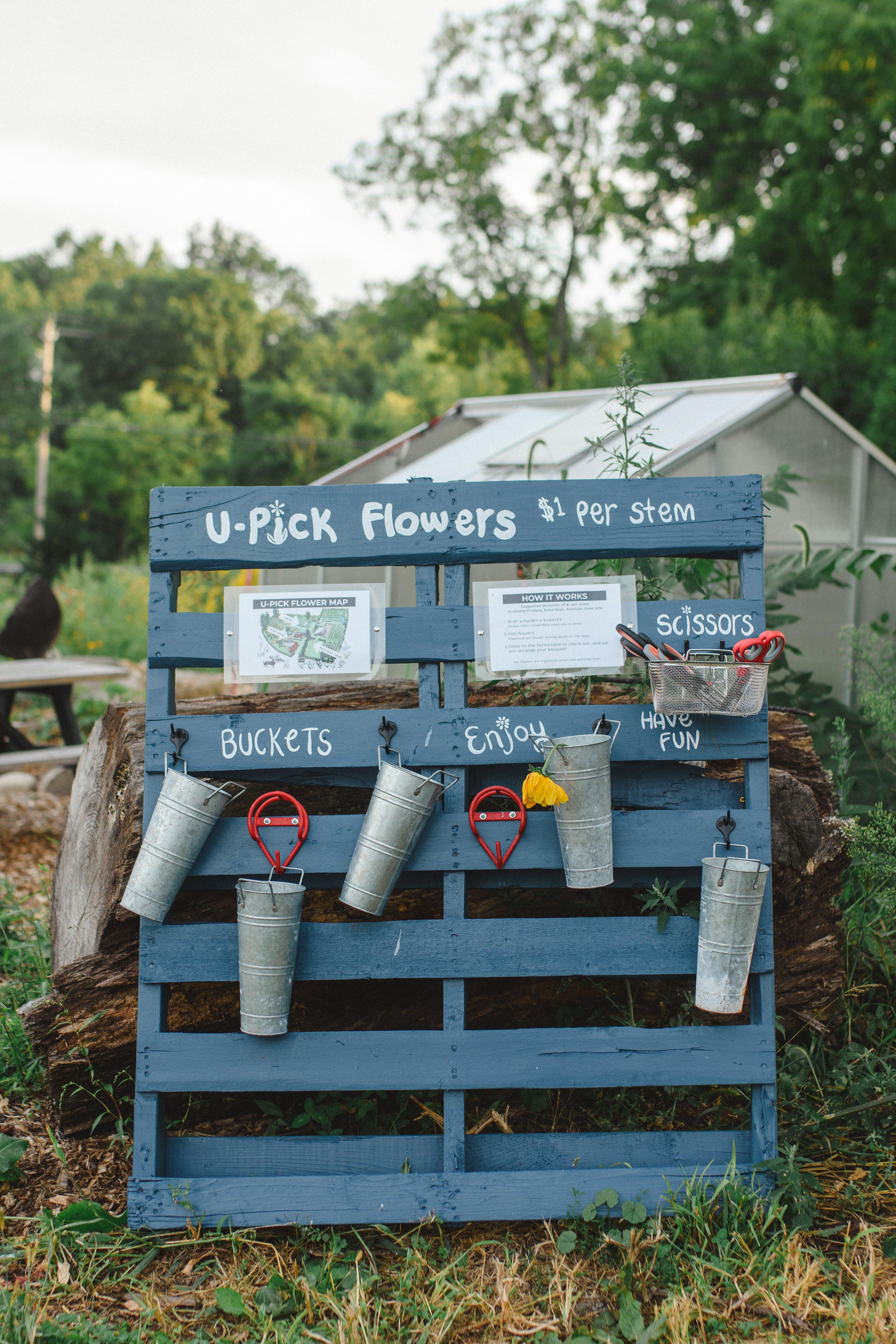 All One One All Farm