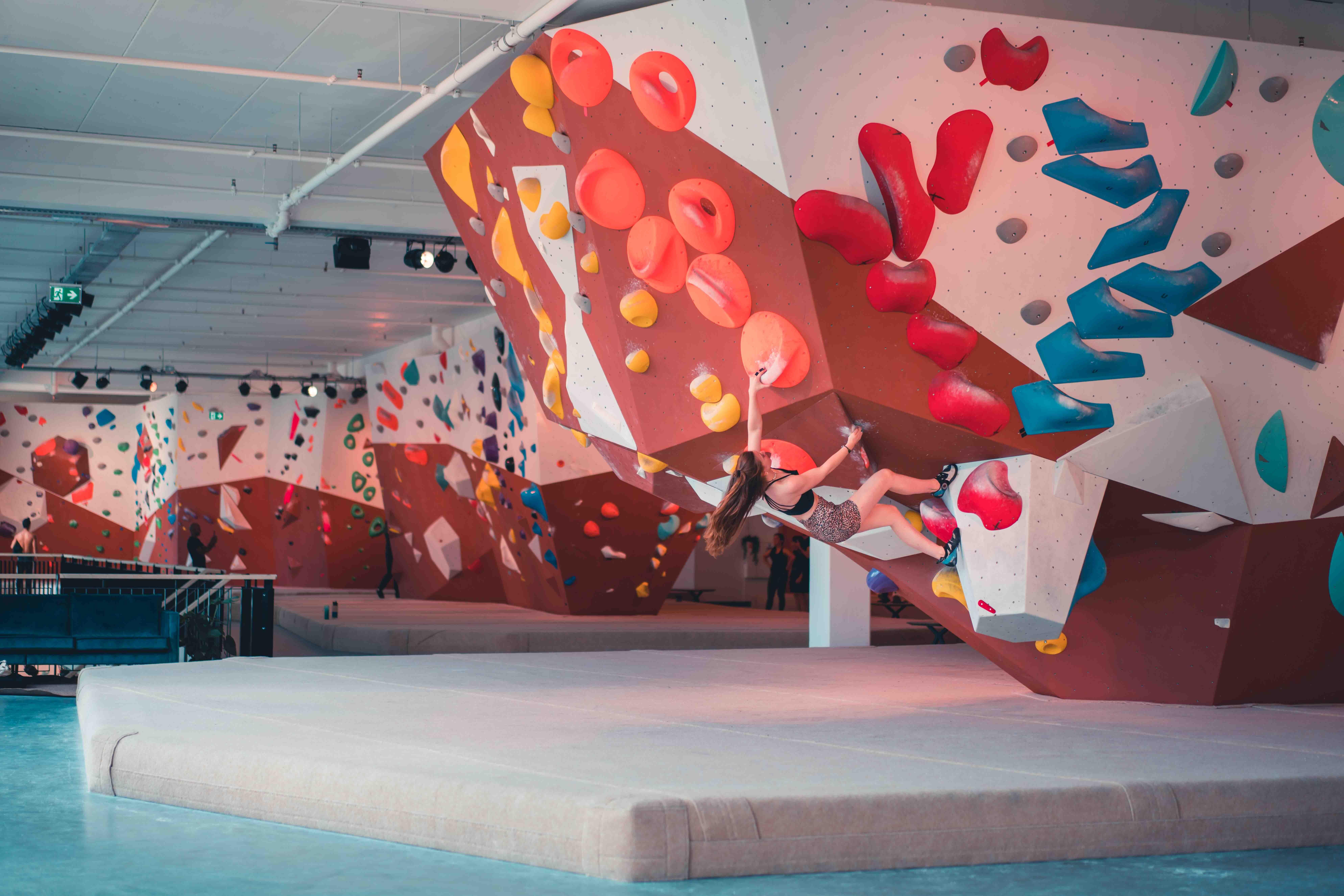 Beest Boulders Den Haag Centrum