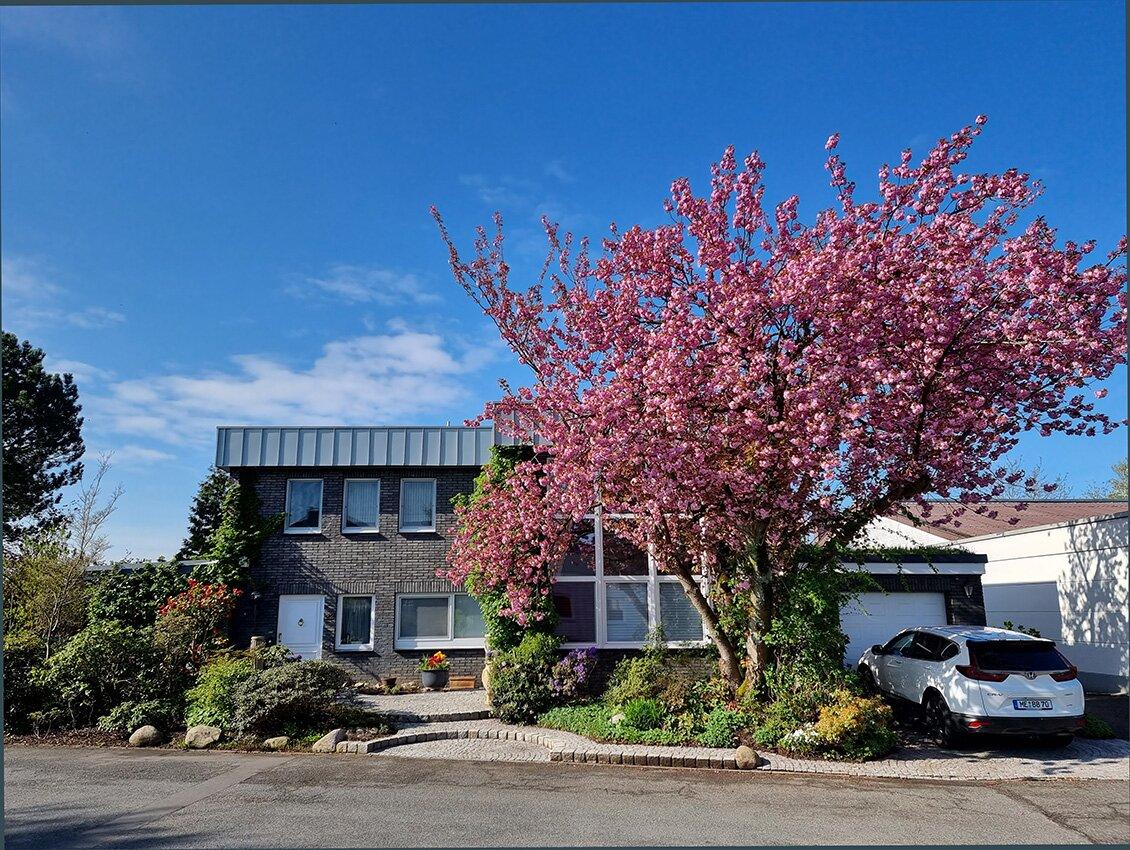 Die Villa Barbara Brodkorb - Gästehaus