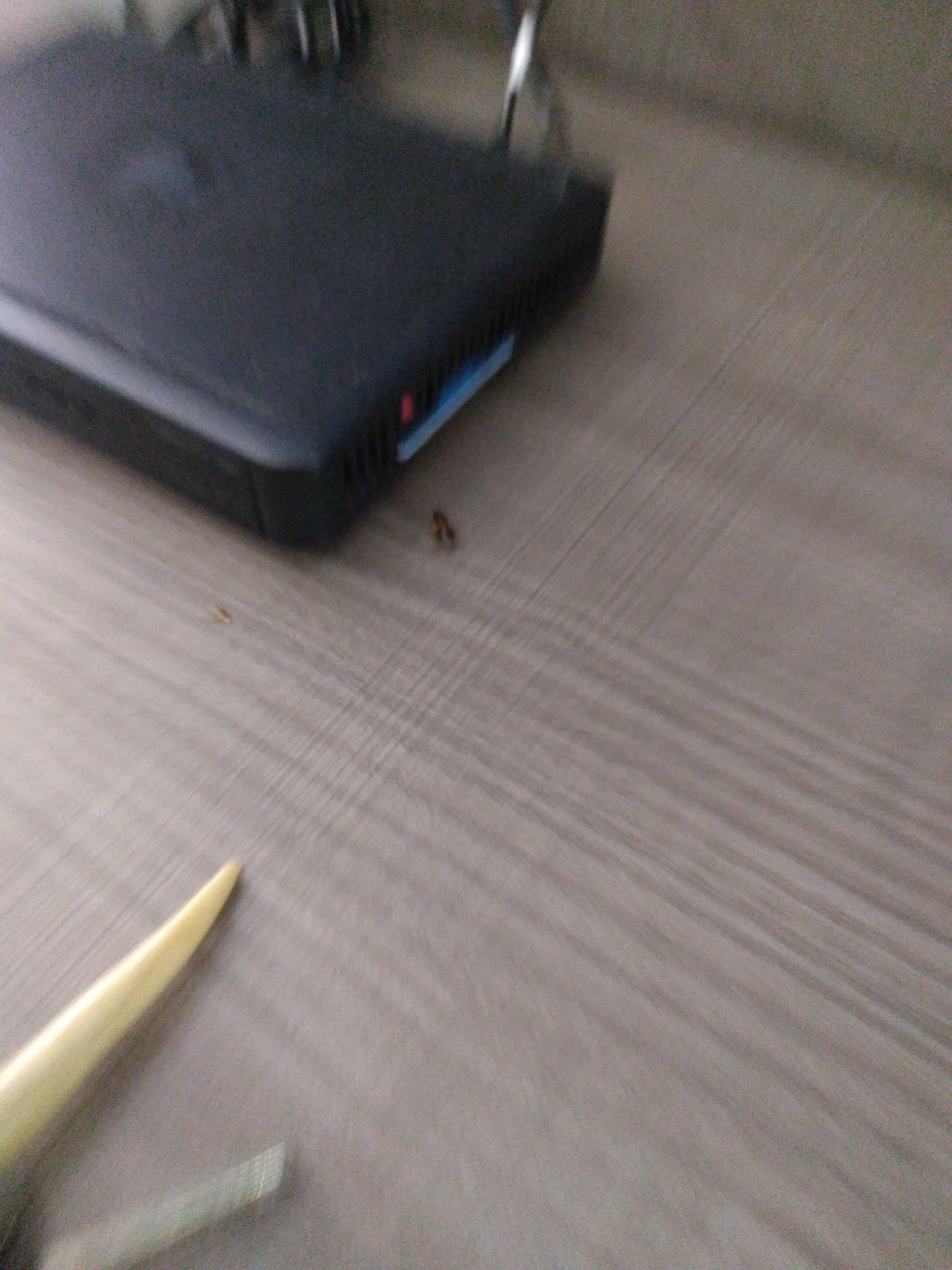 Red Roof Inn & Suites Thomasville