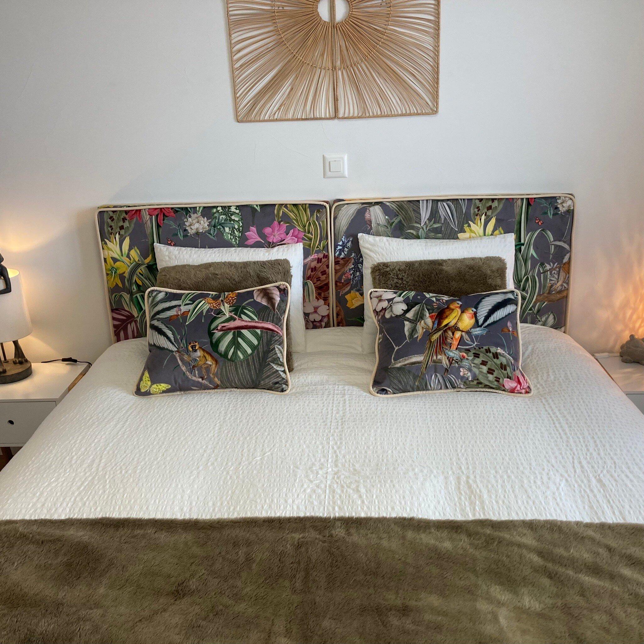 Le Lézard et la Grenouille BnB