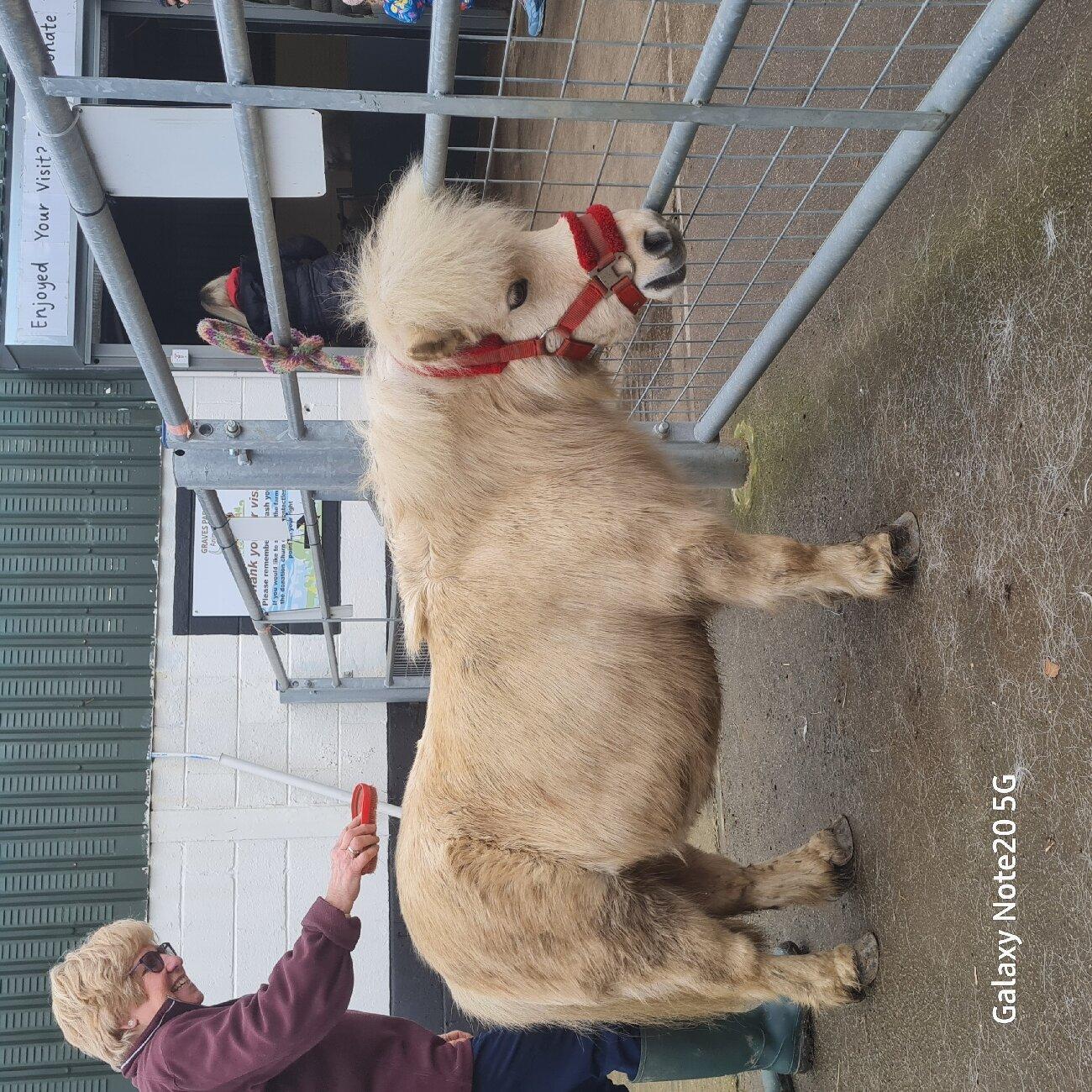 Graves Park Animal Farm