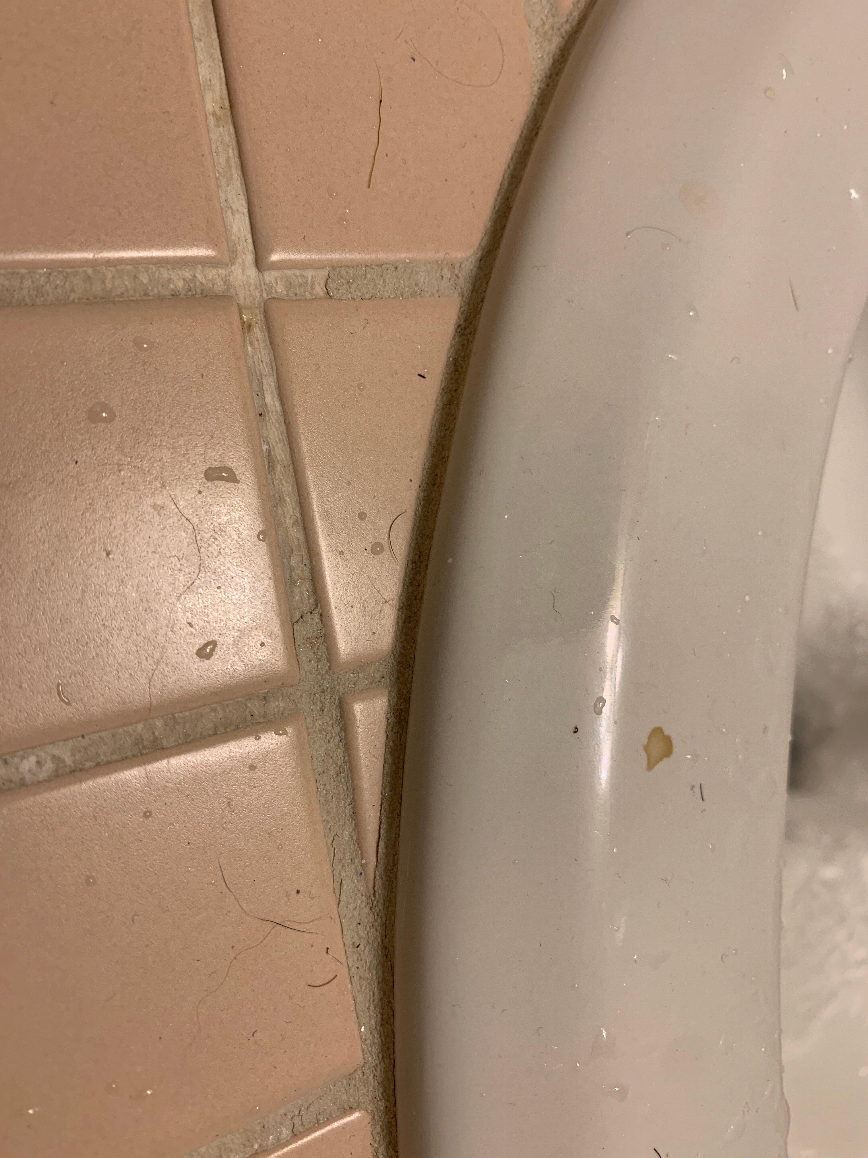 Golden Magnolia Marine