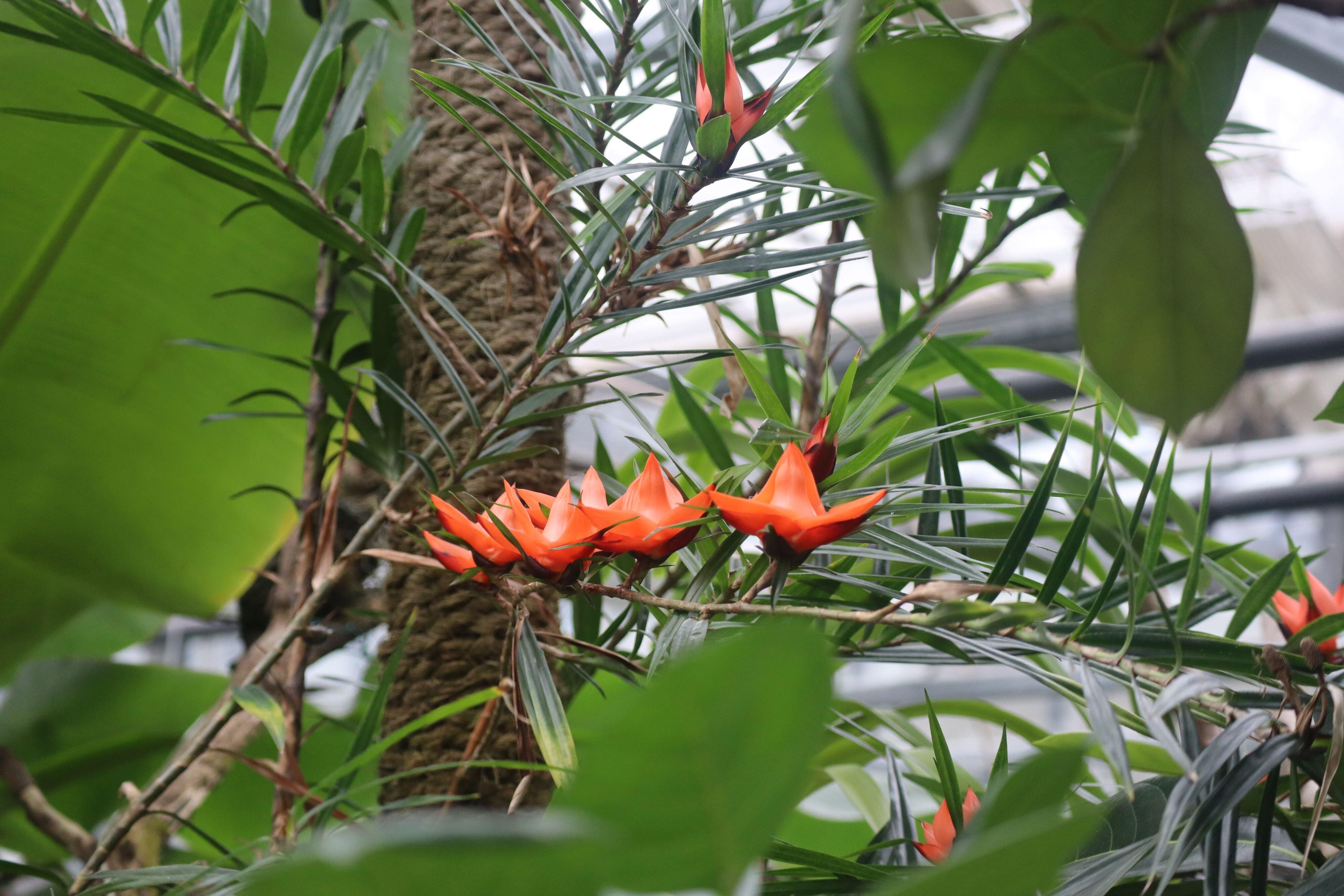 Botanischer Garten Der Universität Regensburg
