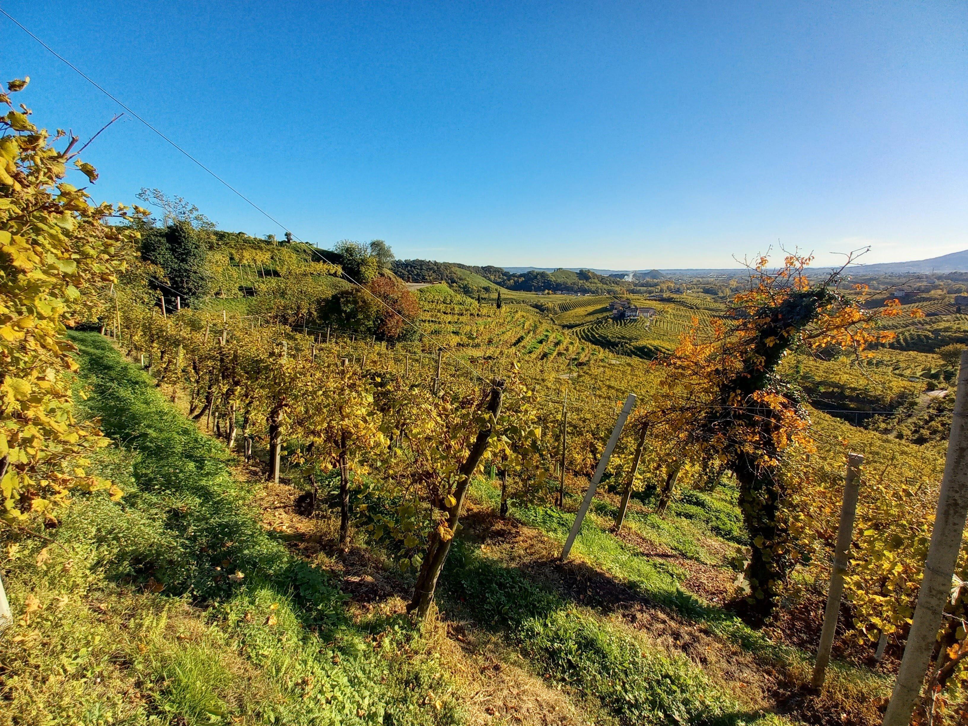 Prosecco Tour Italy by Prosecco di Marca