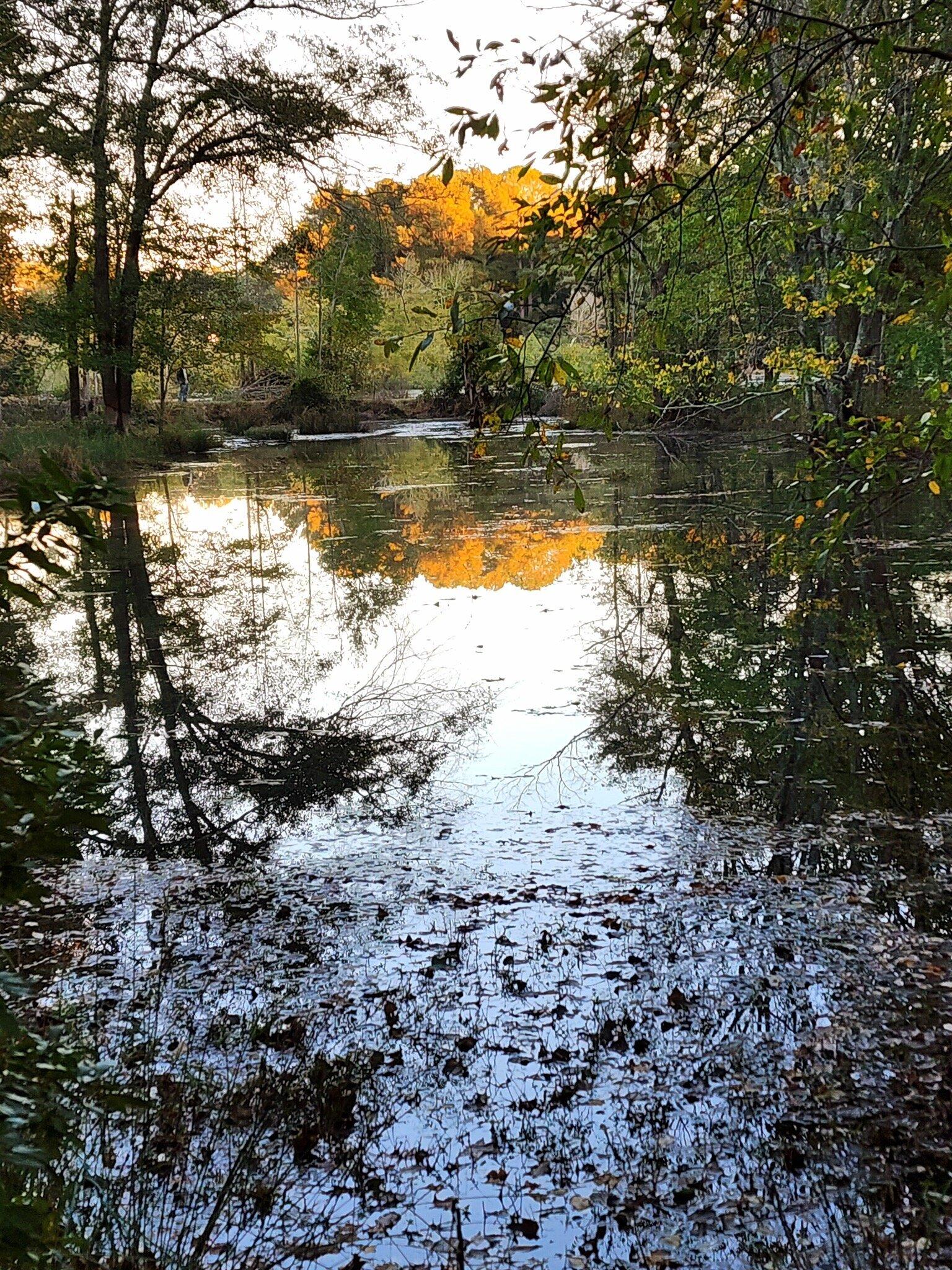 Photo by graybeardusa2021