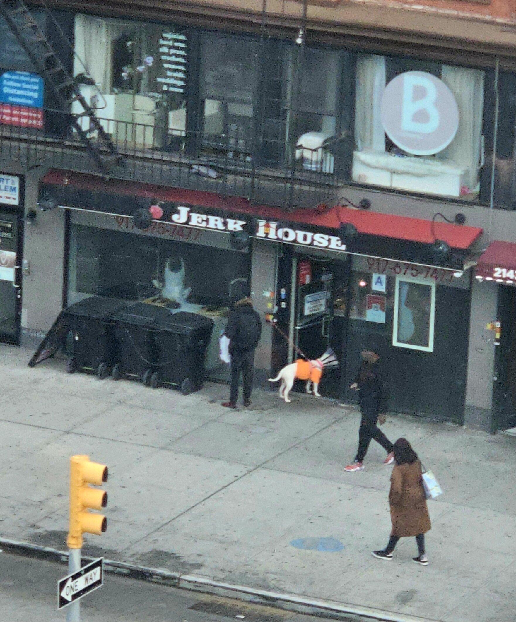 Jerk House