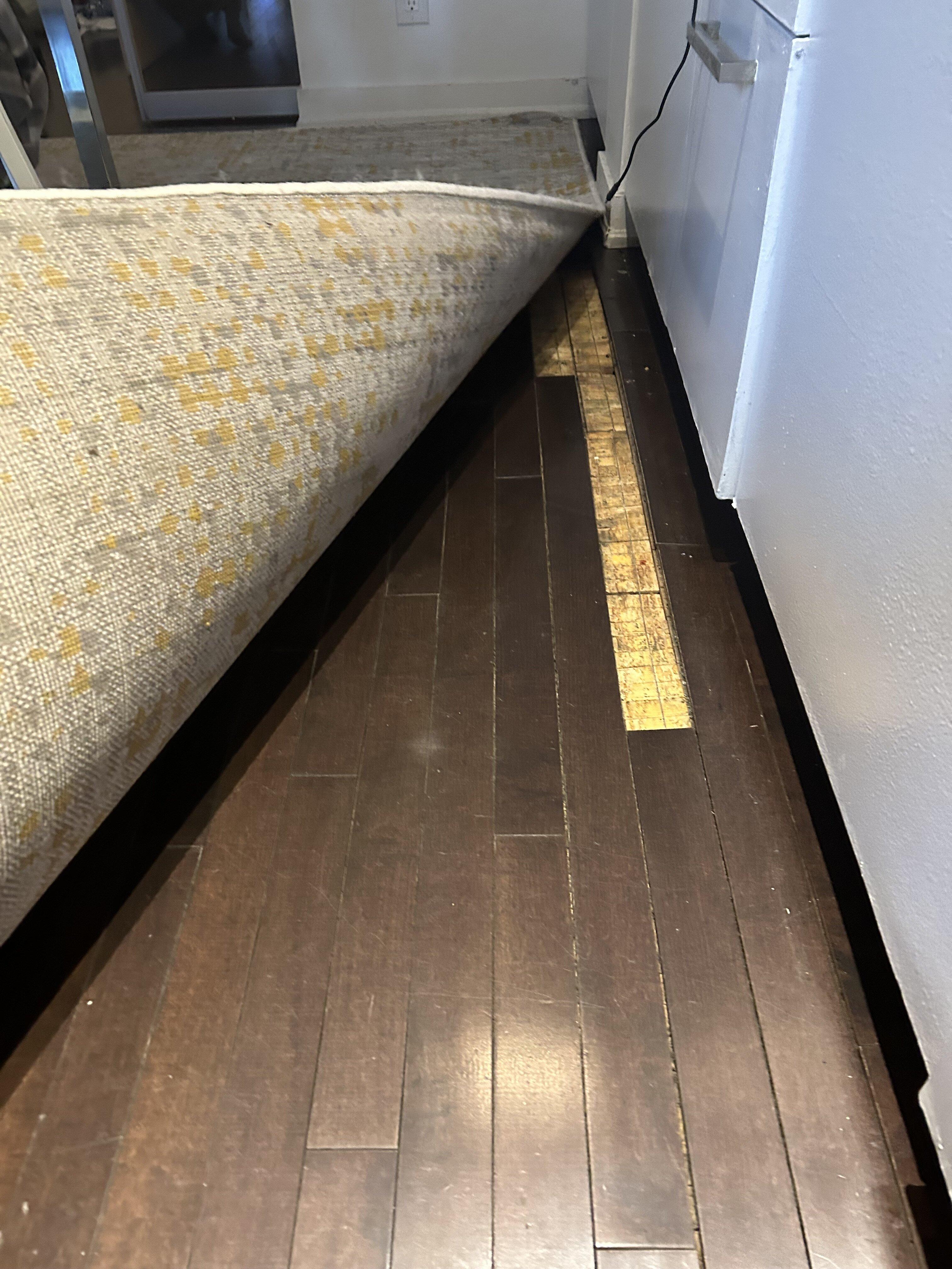 Photo by Billy Jean P