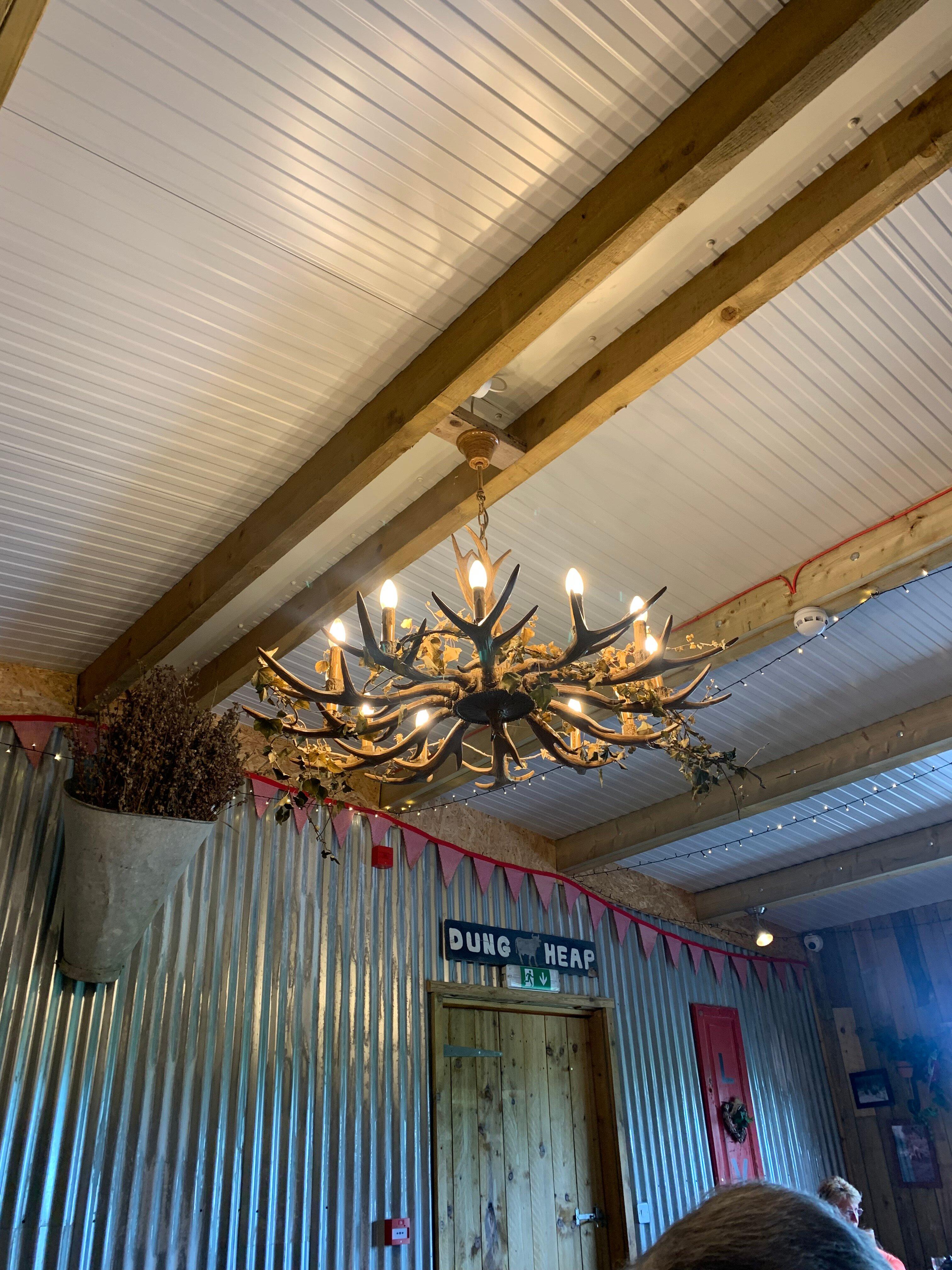 The Ring Feeder cafe