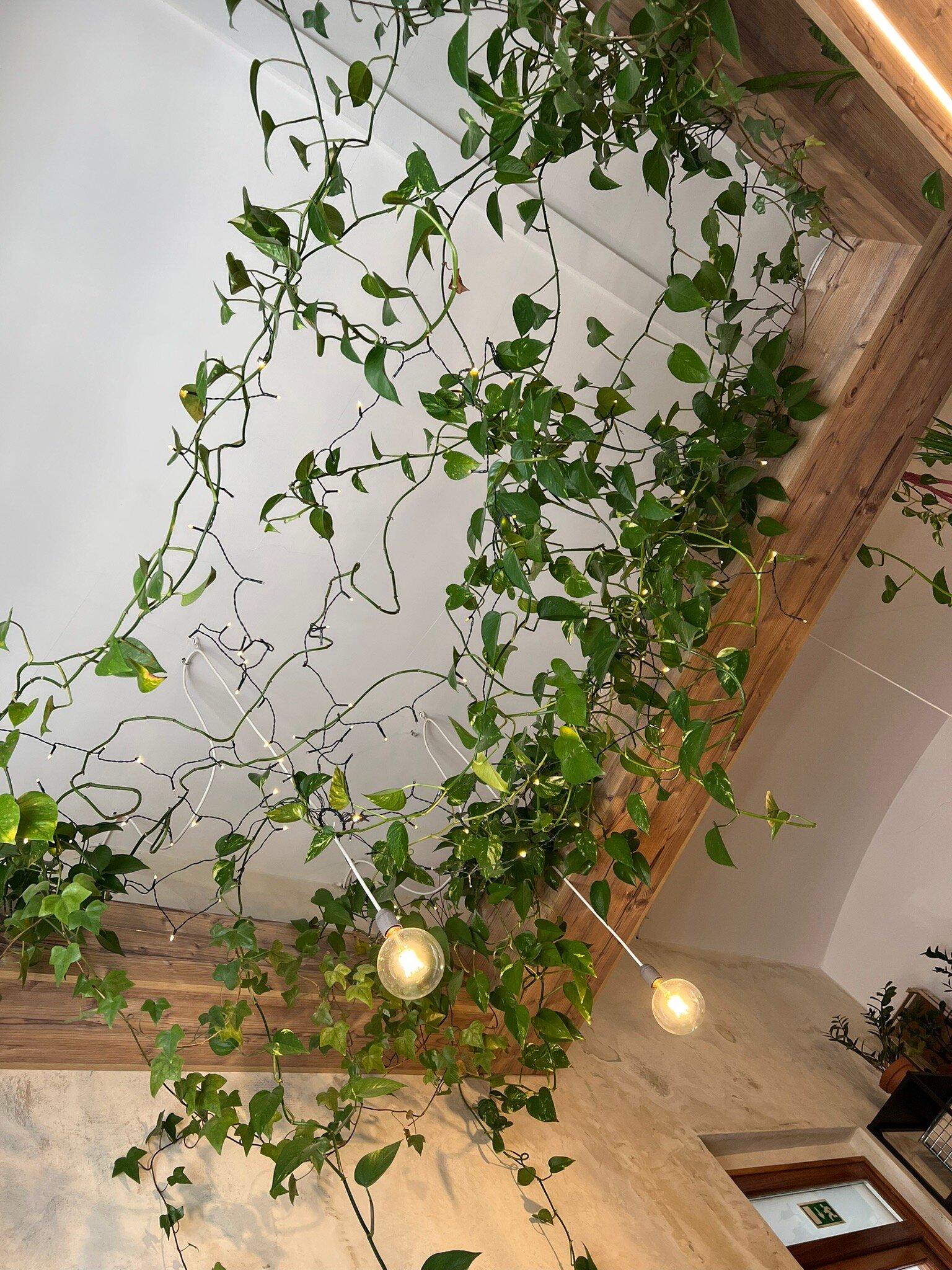 Modam Specialty Coffee & Store