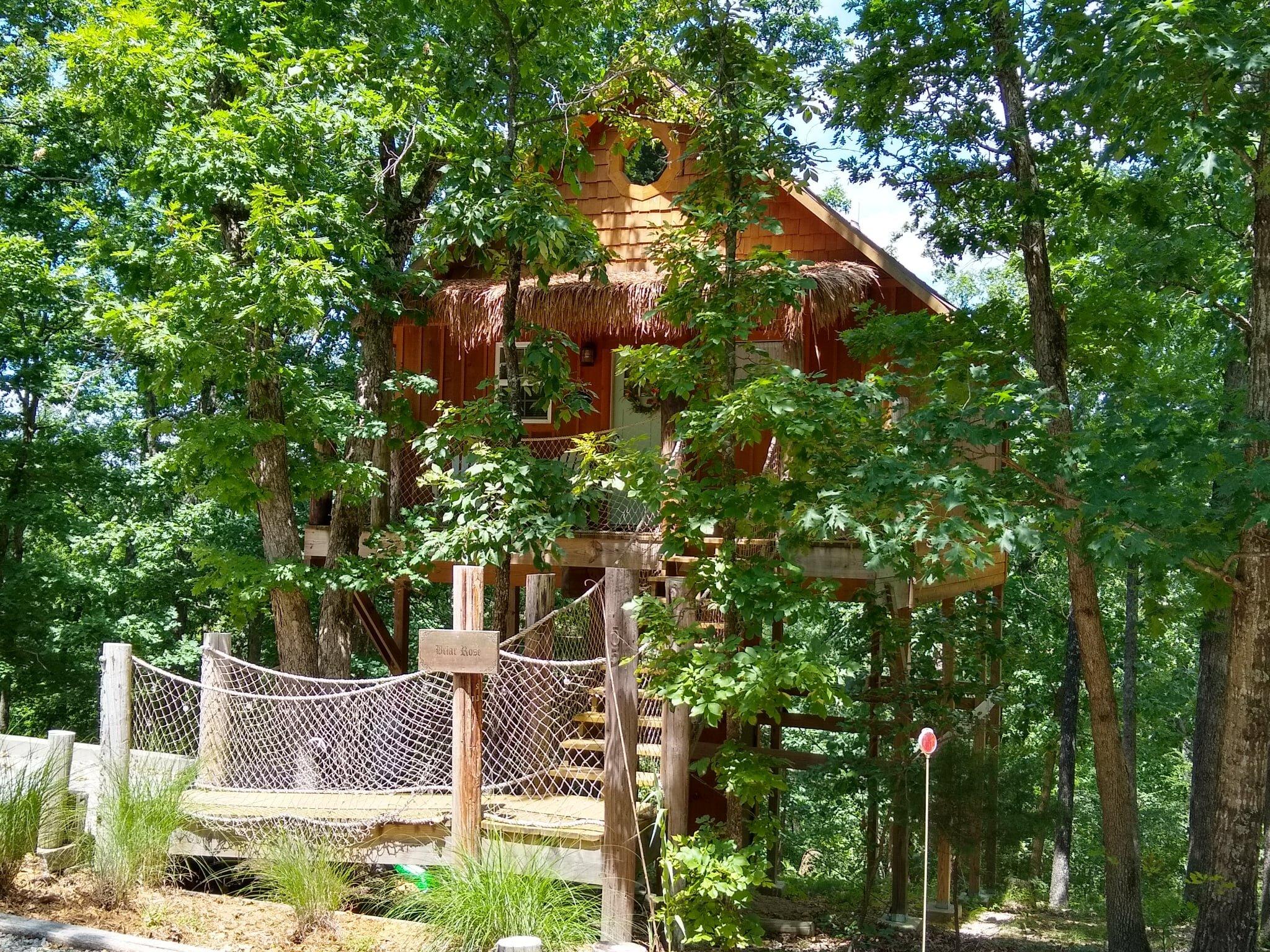 Enchanted Treehouses