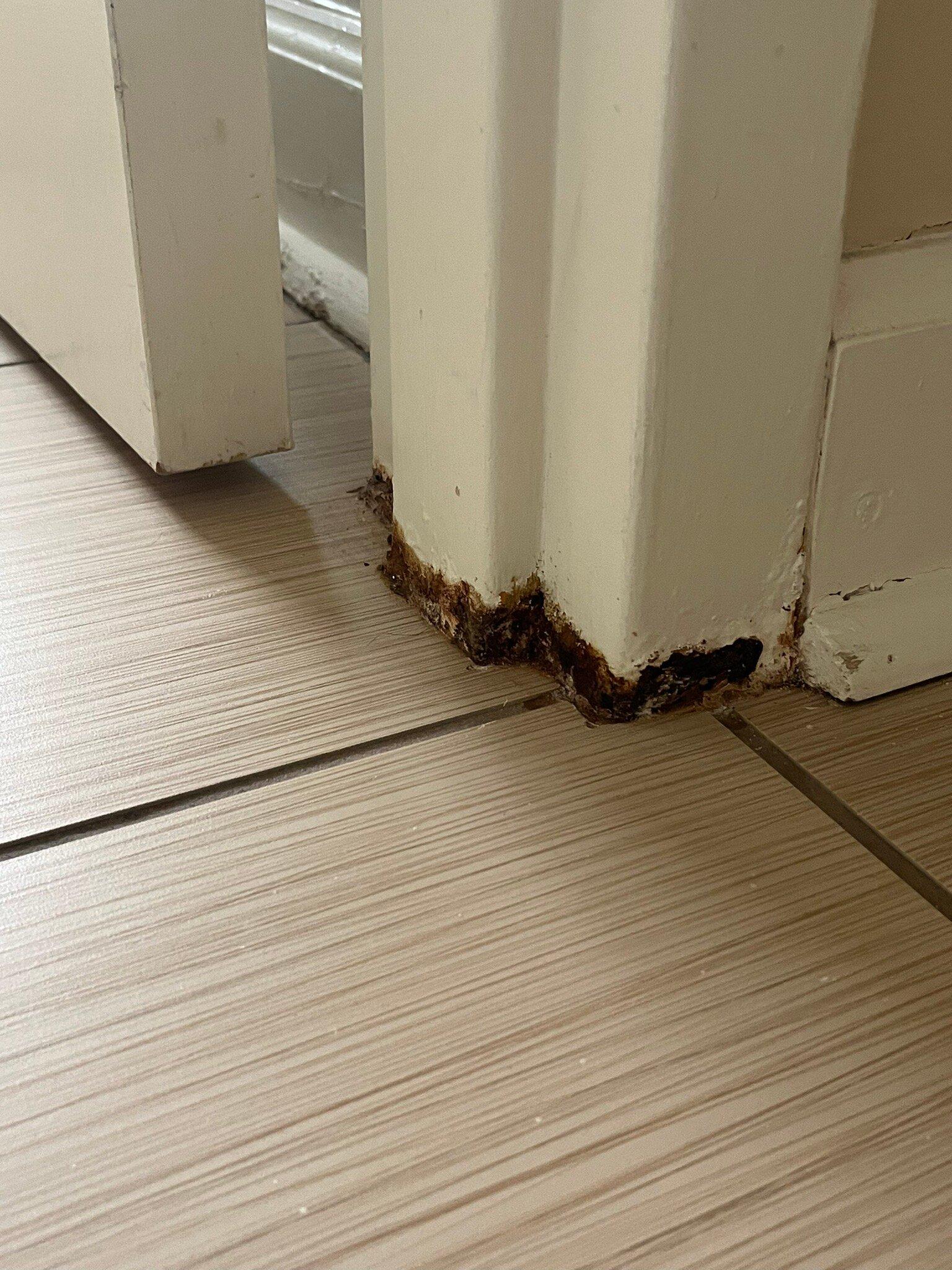 Photo by R9147OEdanp