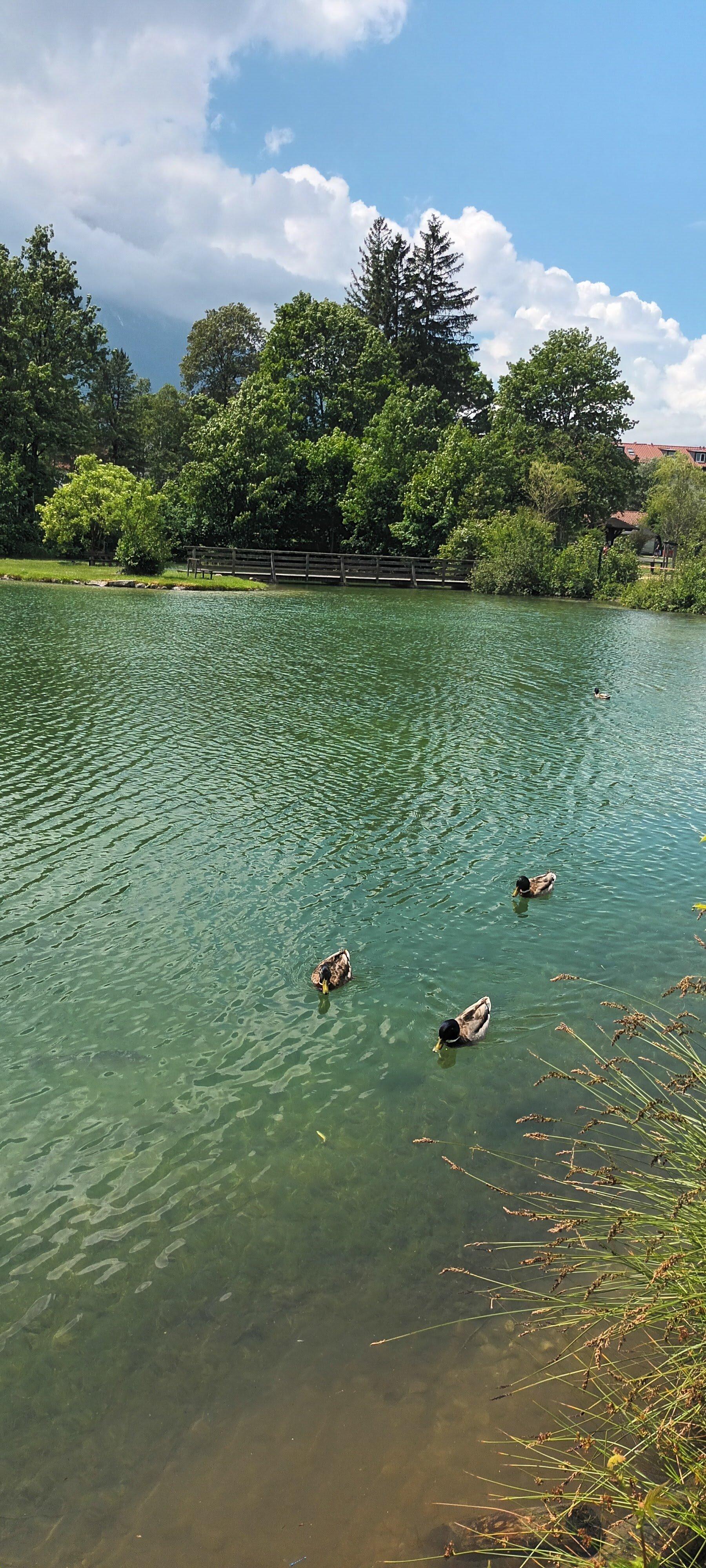 Freizeitpark Loisachbad