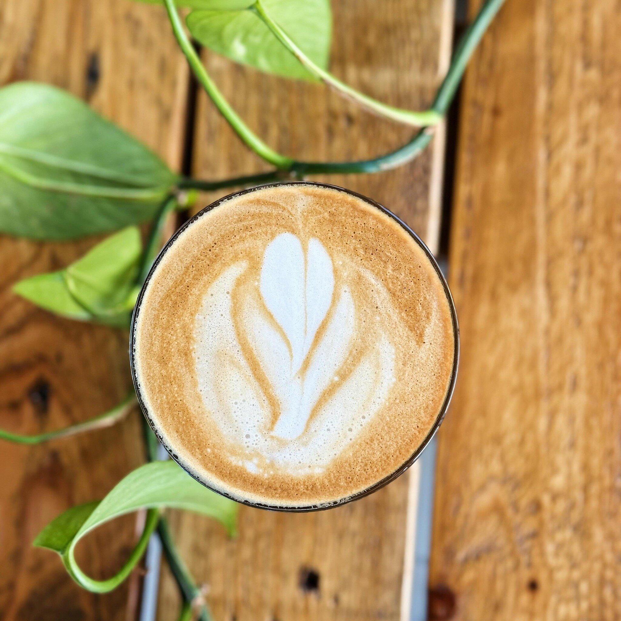 The Local 165 Cafe & Bar