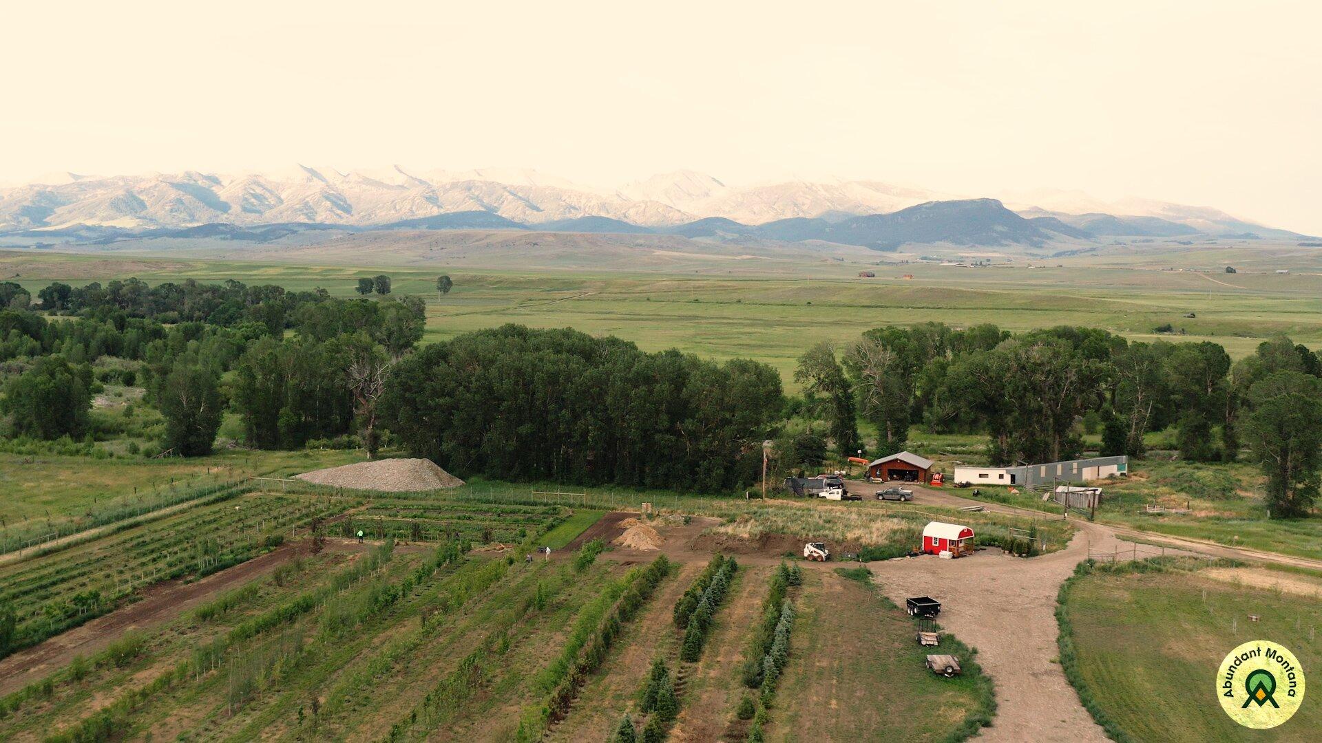 Shields River Farm & Nursery