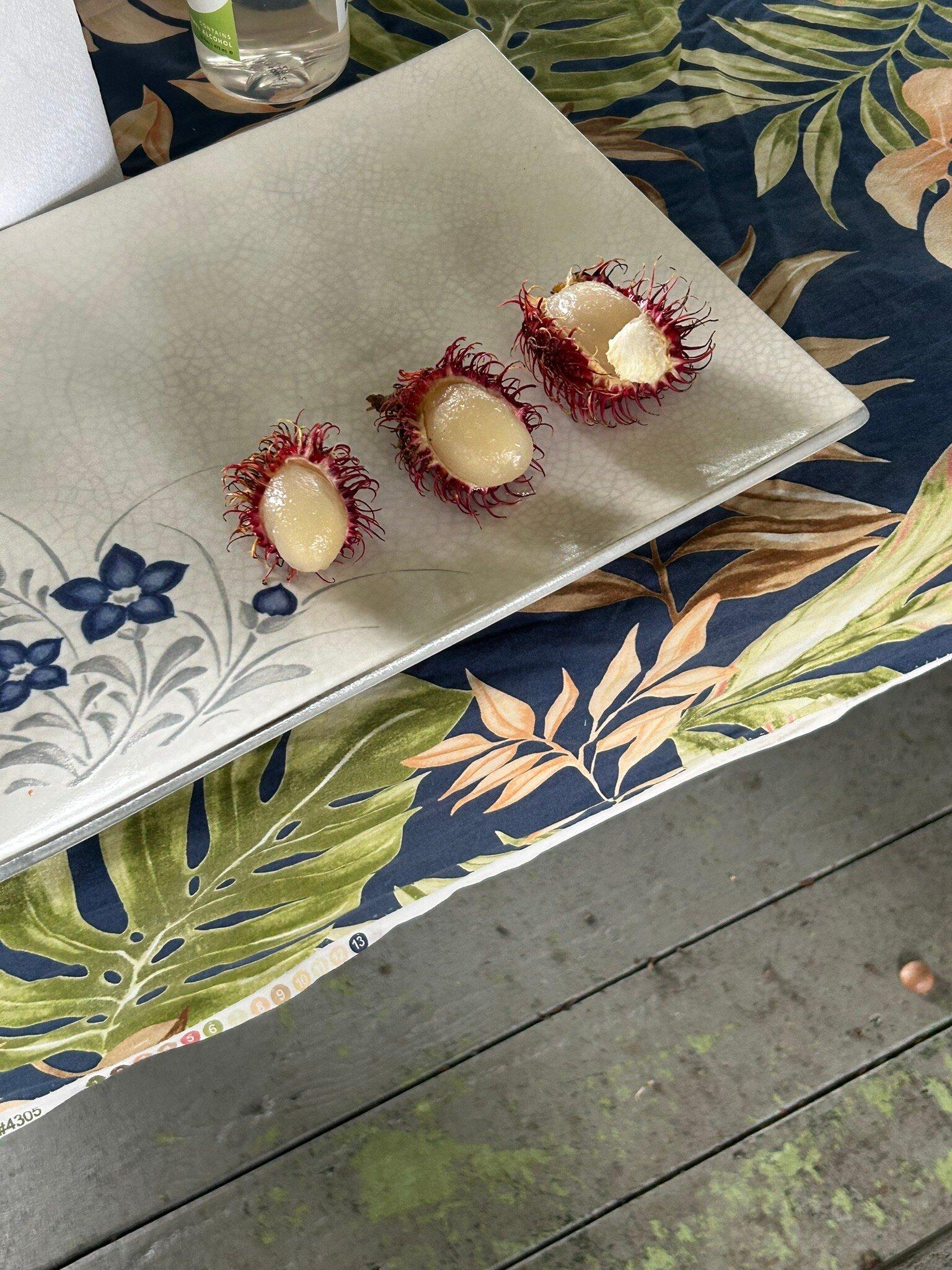 O.k. Farms (the Farm At Rainbow Falls)