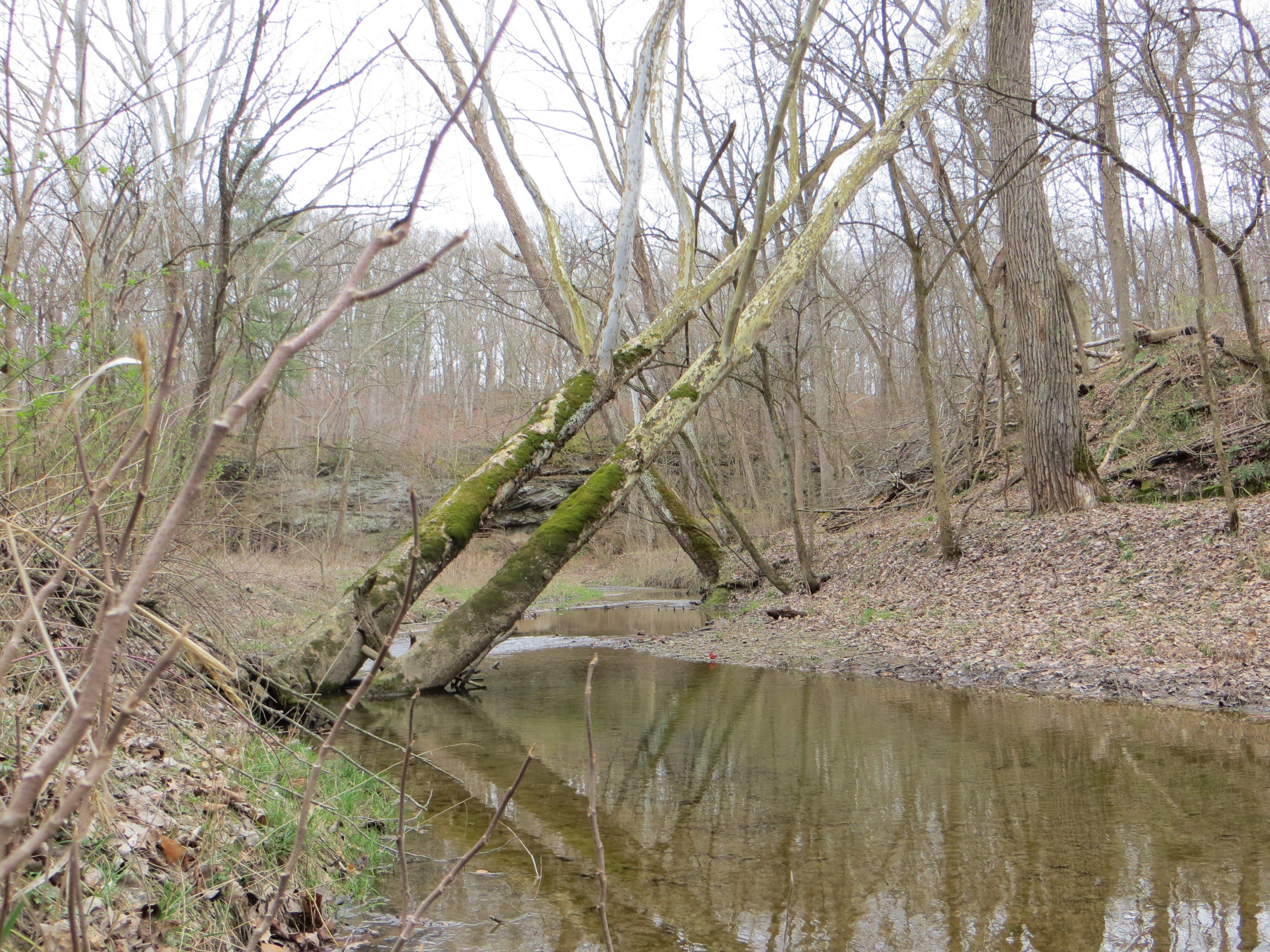 Portland Arch Nature Preserve