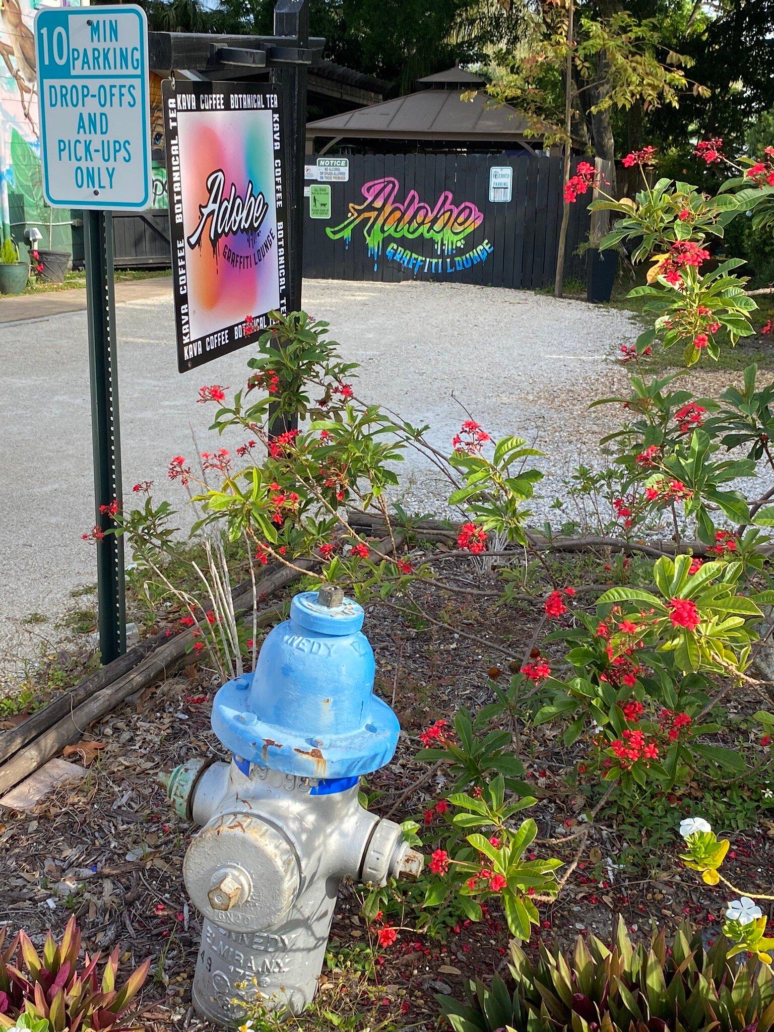 Adobe Graffiti Lounge Kava Bar