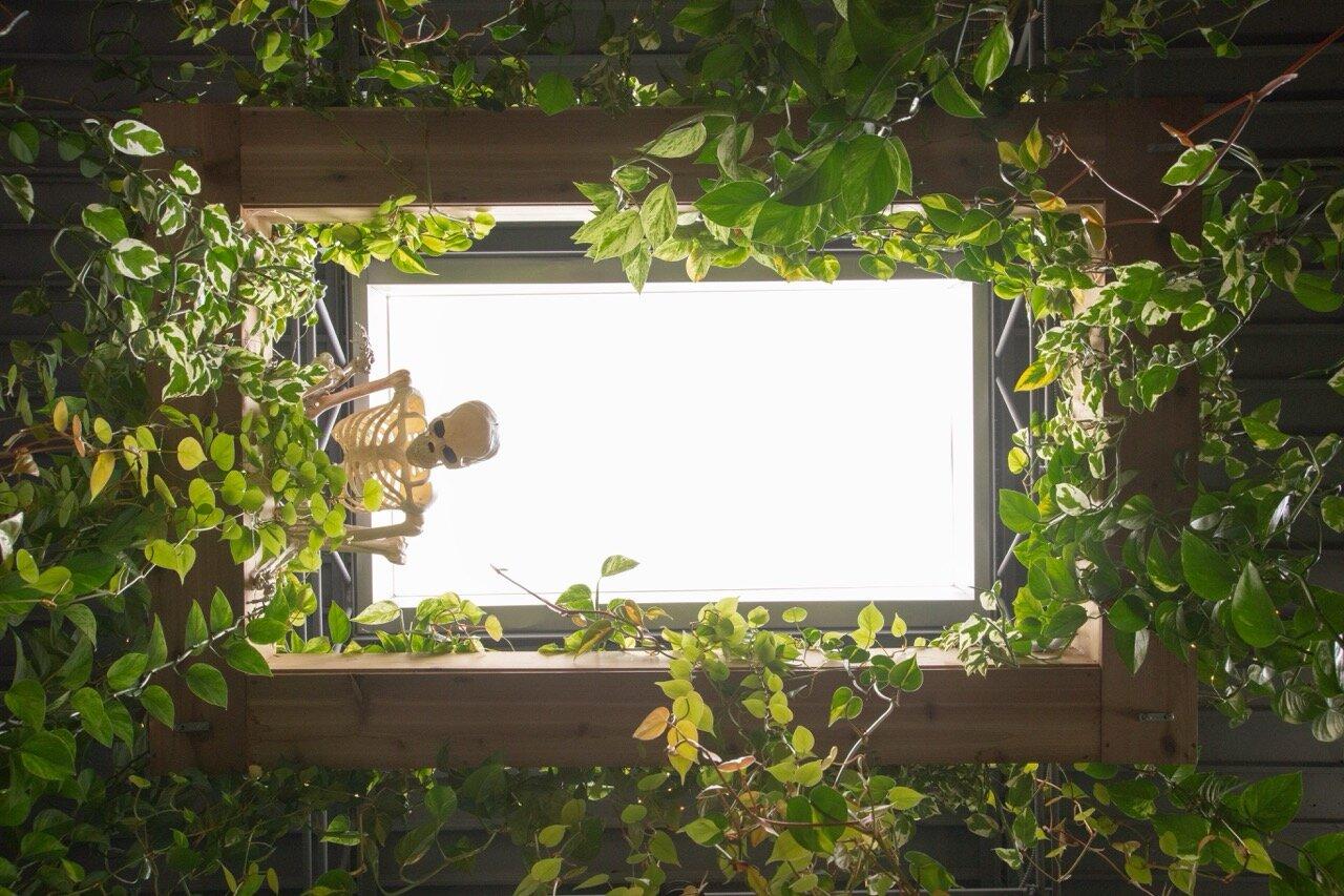 Any Spine Chiropractic & Massage Studio