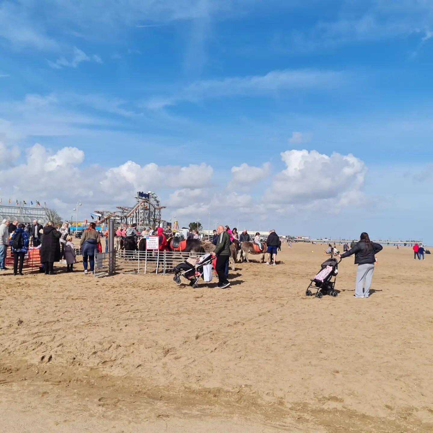 The Golden Fry Chippy