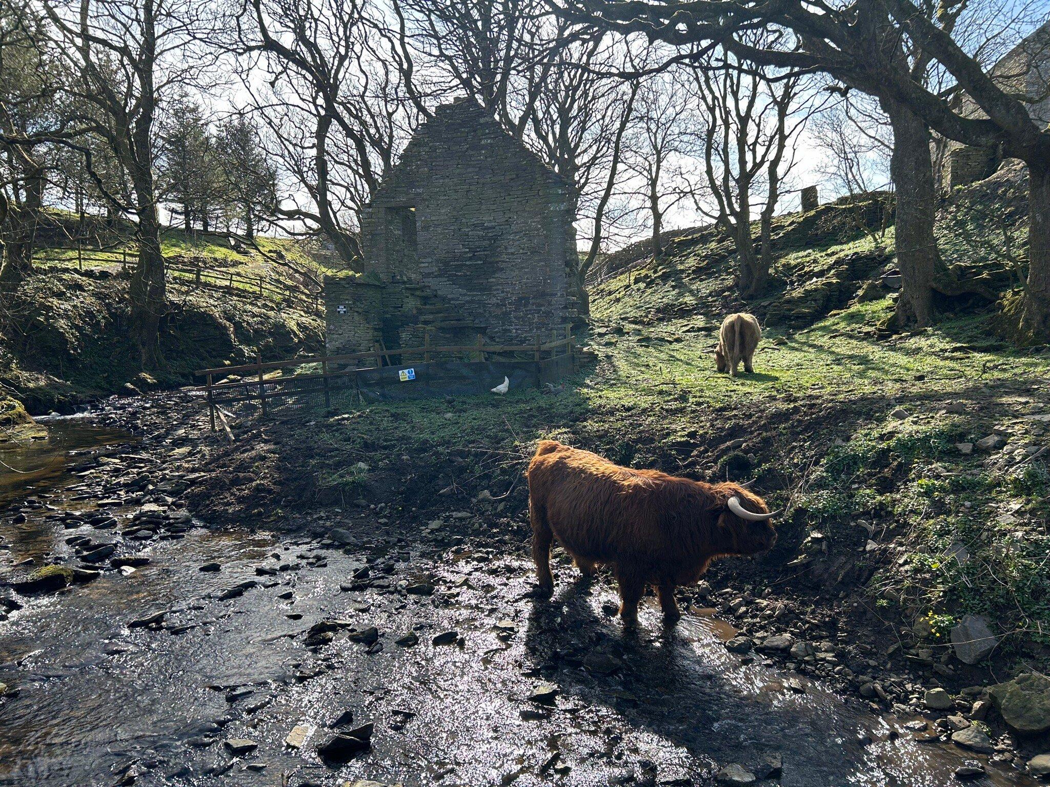 Geise Farm Activities