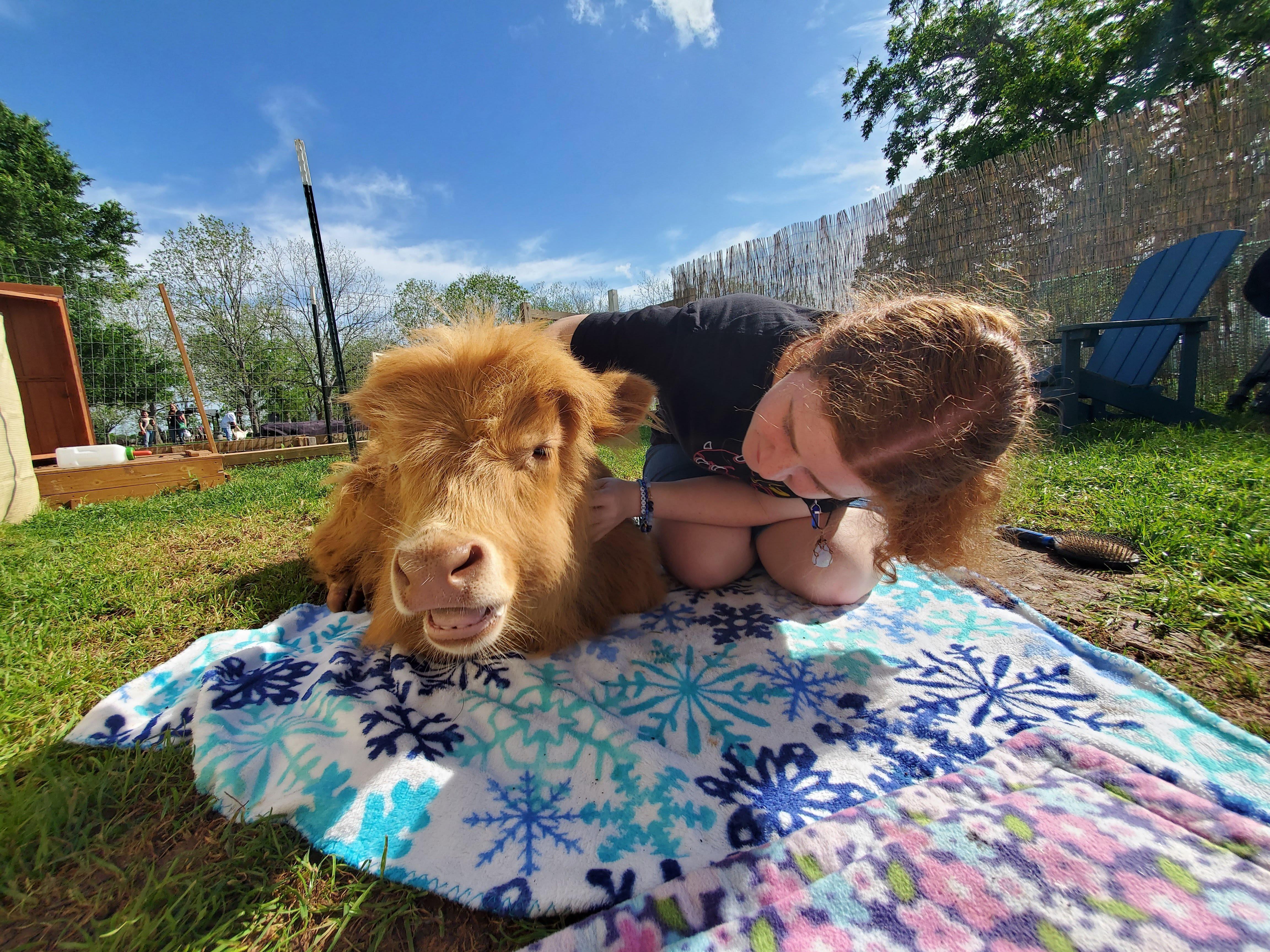 Rose Therapeutic Farm