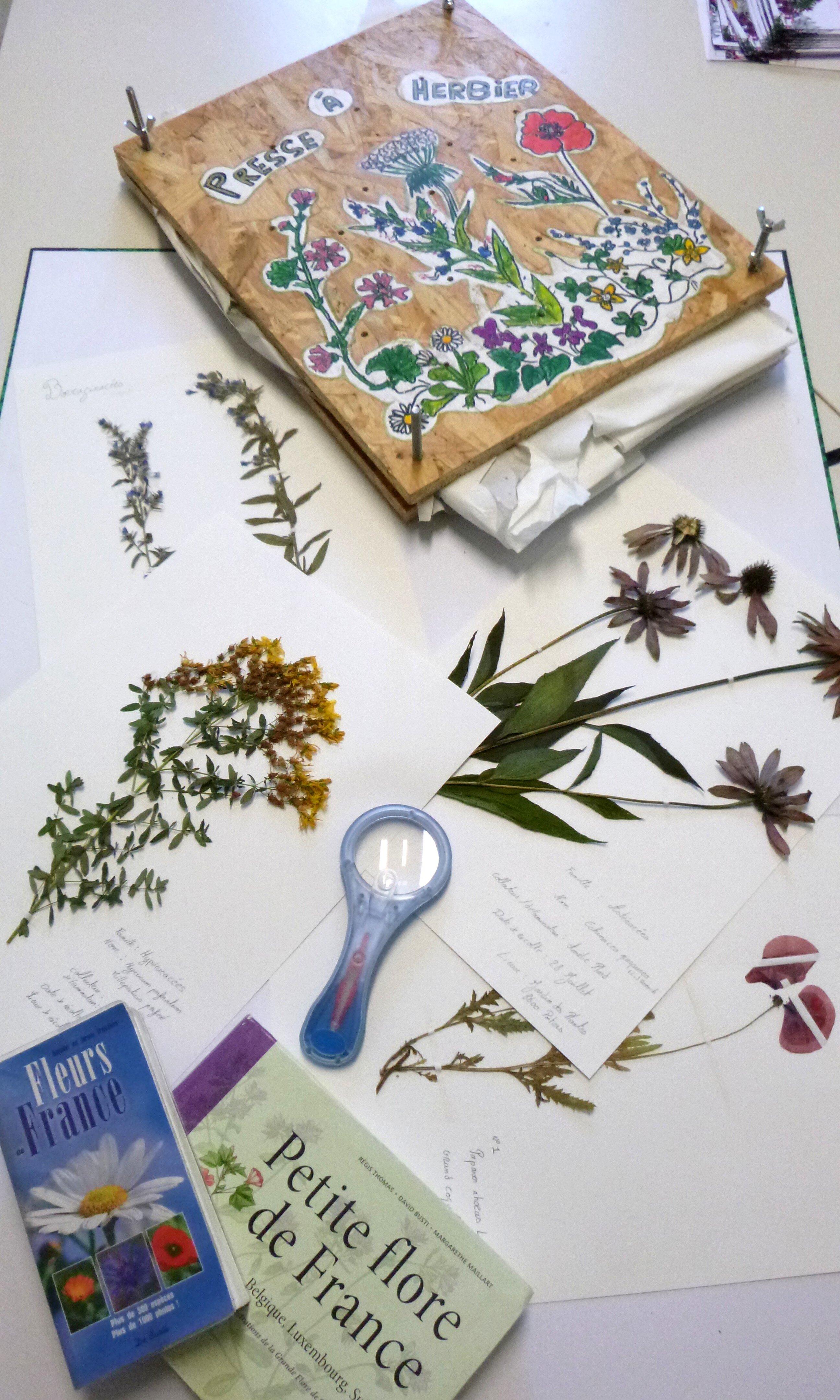 Animations Nature Ville De Poitiers - Parcs Et Jardins