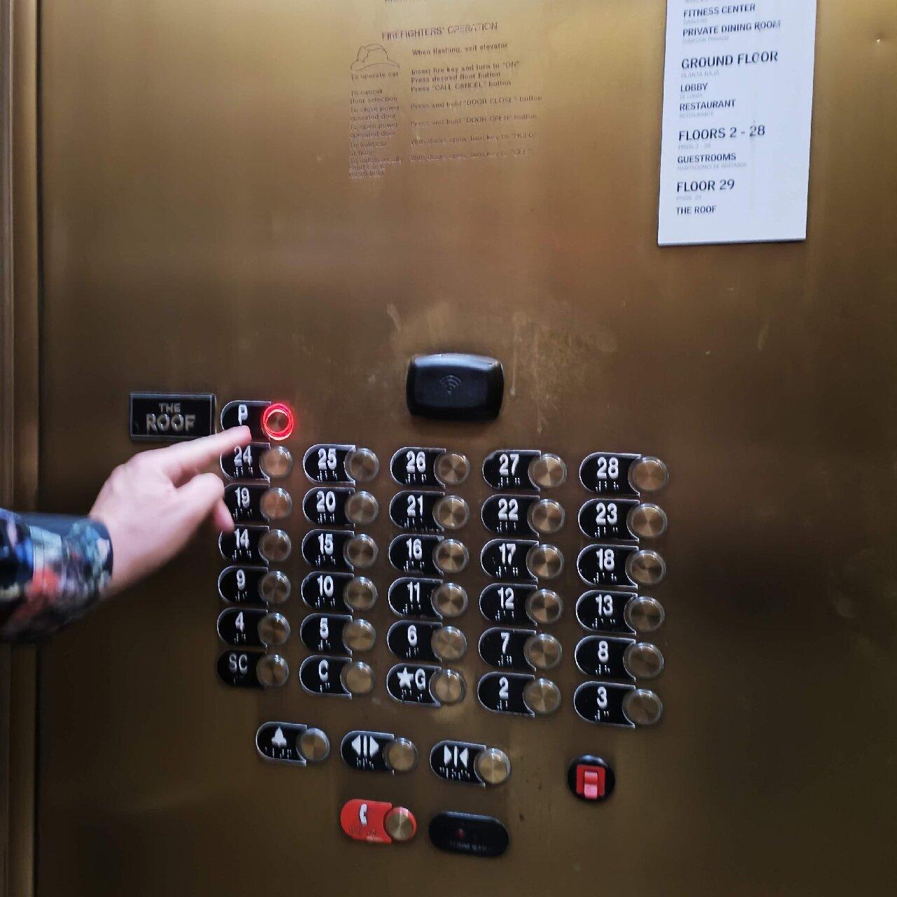 Photo by FellowTraveler777968