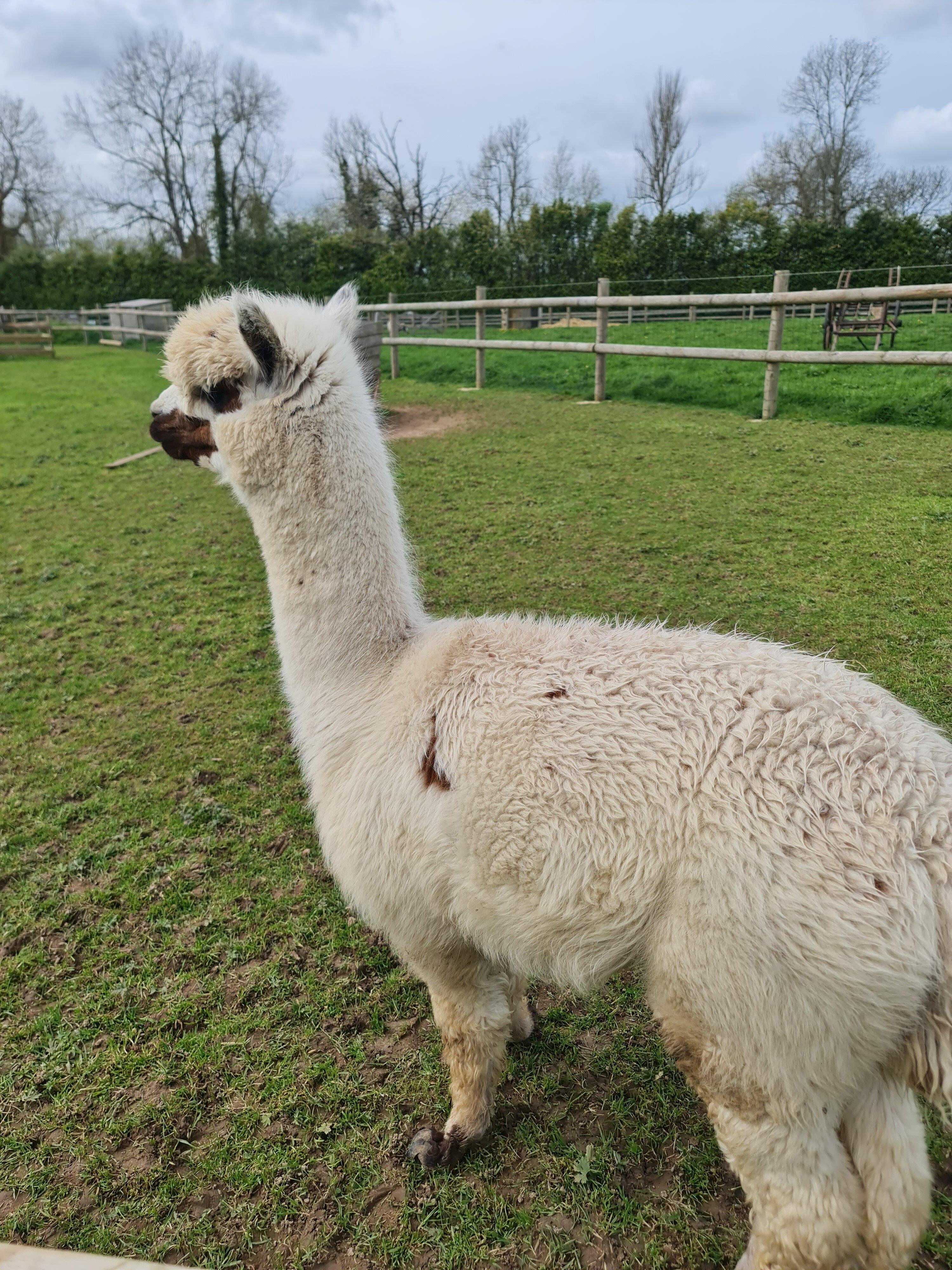 Le Domaine de Capucine