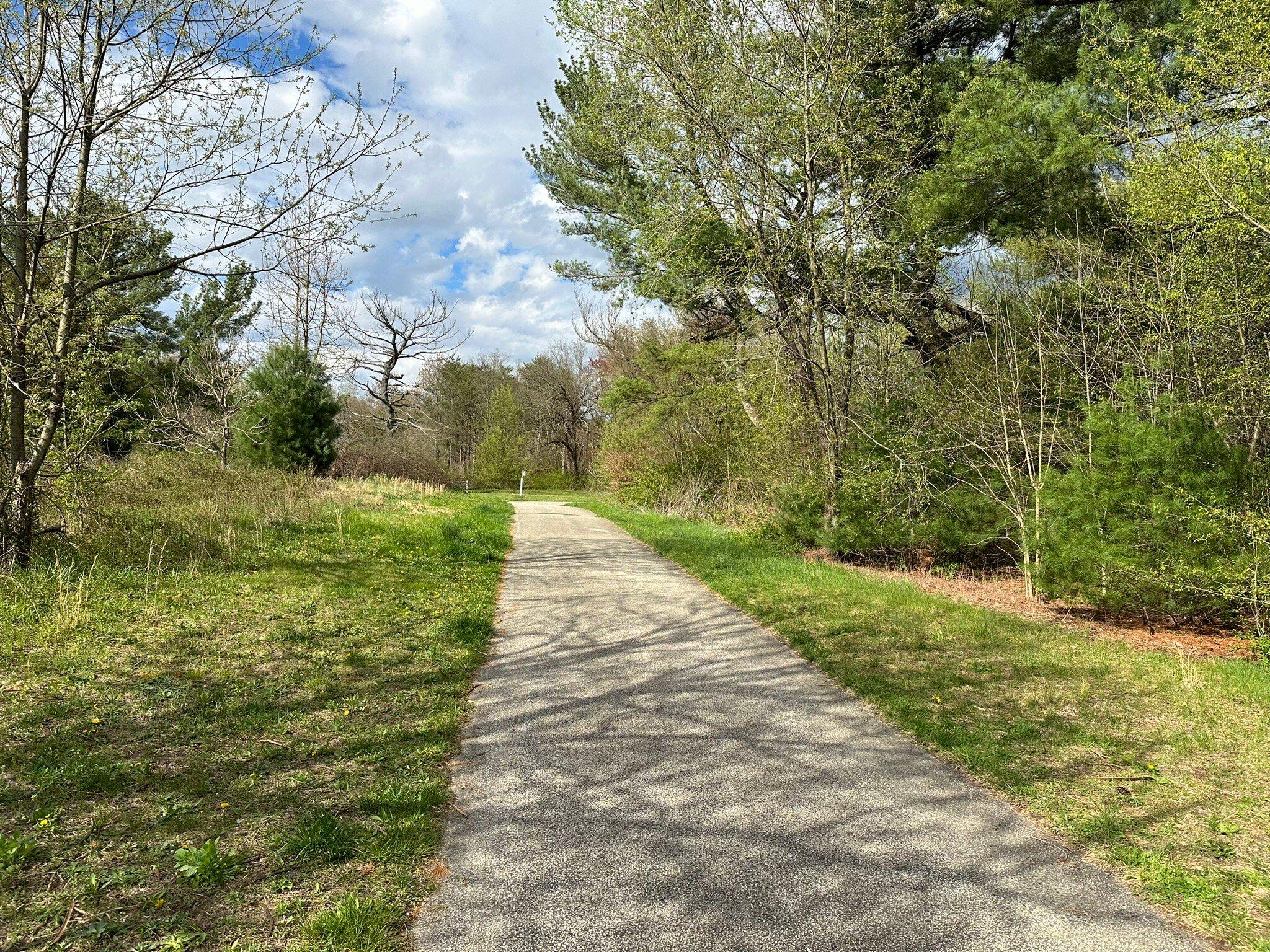 Tall Pines State Preserve