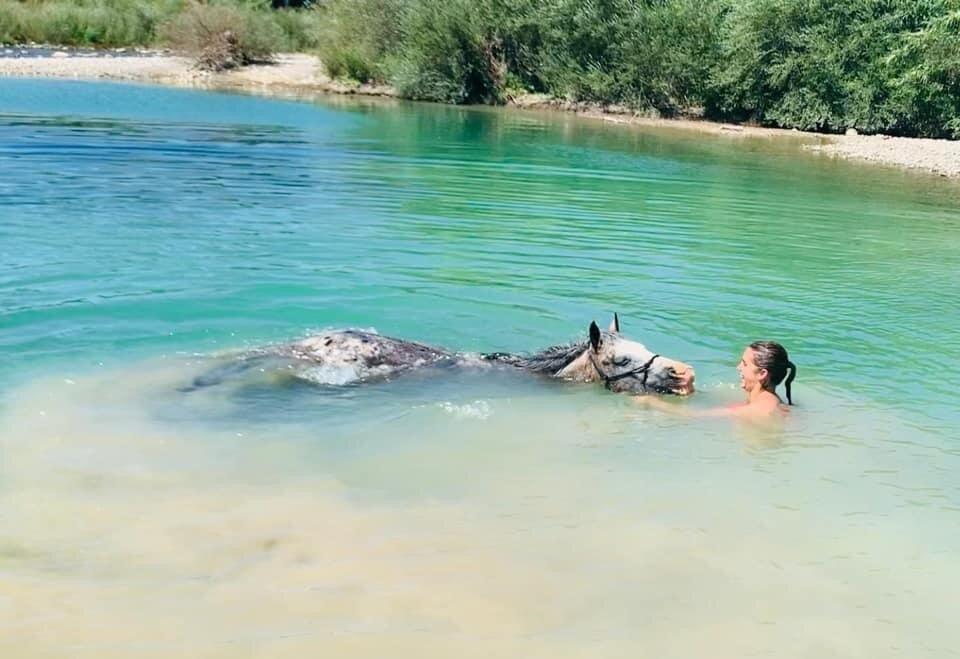 Centro Ippico Omnia Ranch