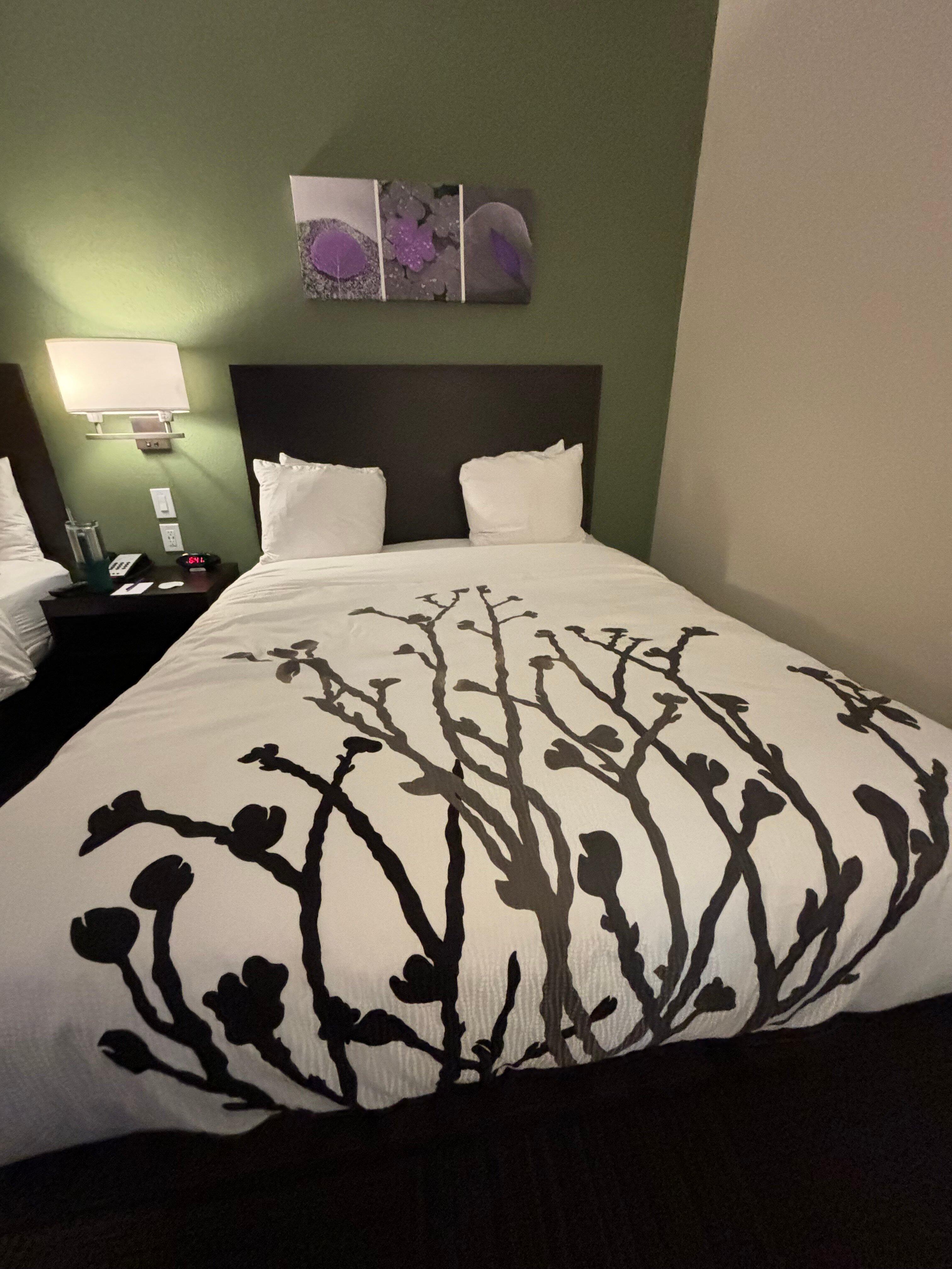 Sleep Inn Dallas Northwest-Irving