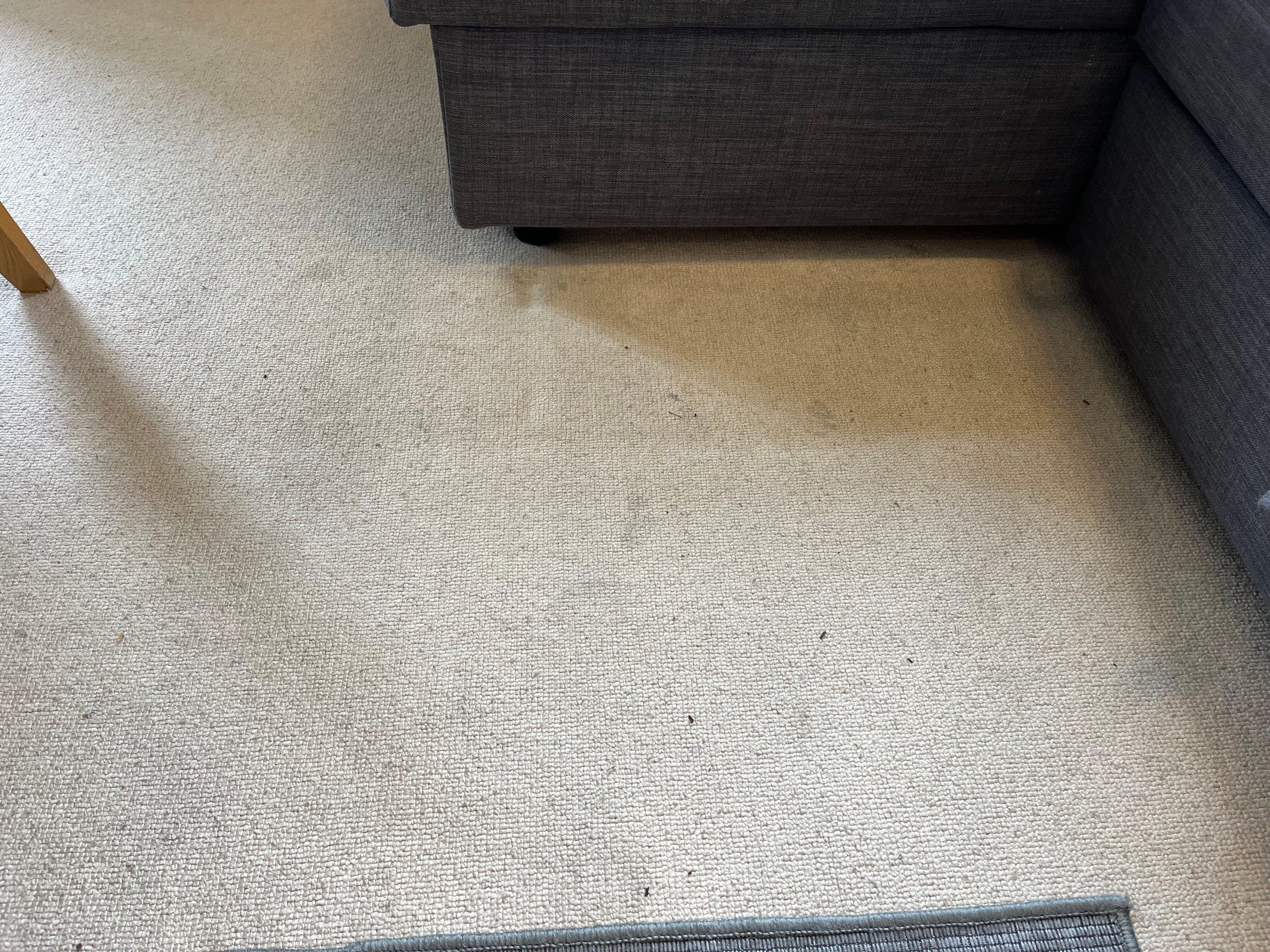 Stylish Apartments In Pimlico