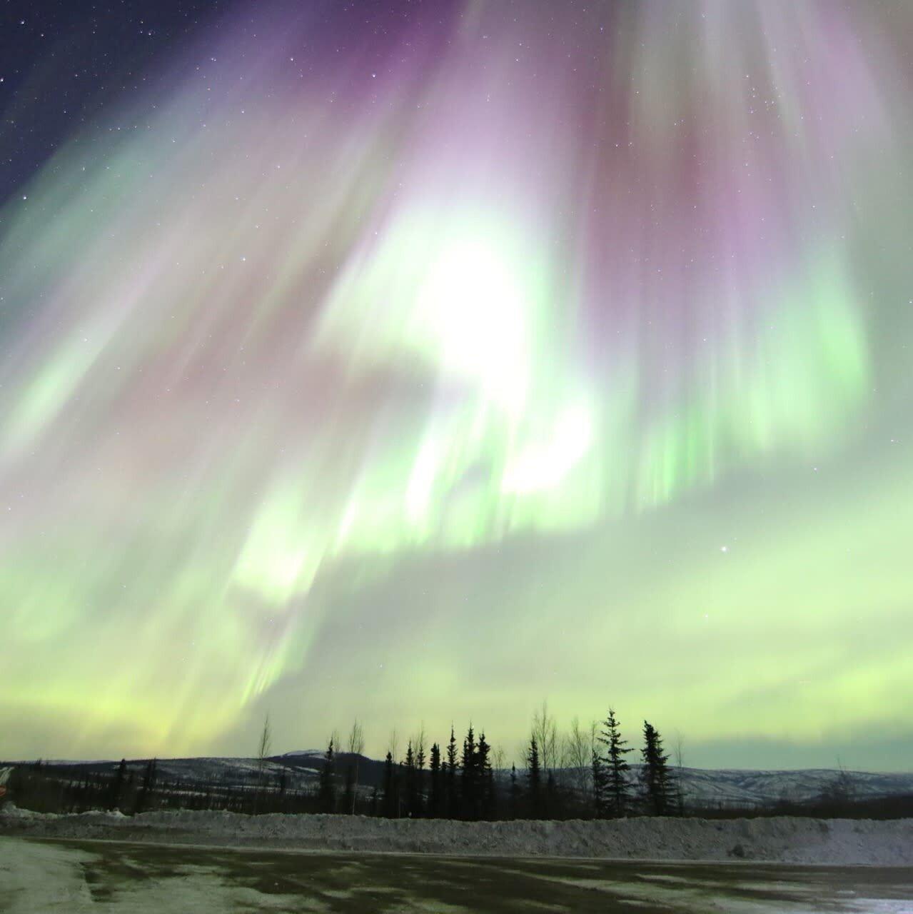 Alaska Safari Sultan Tours