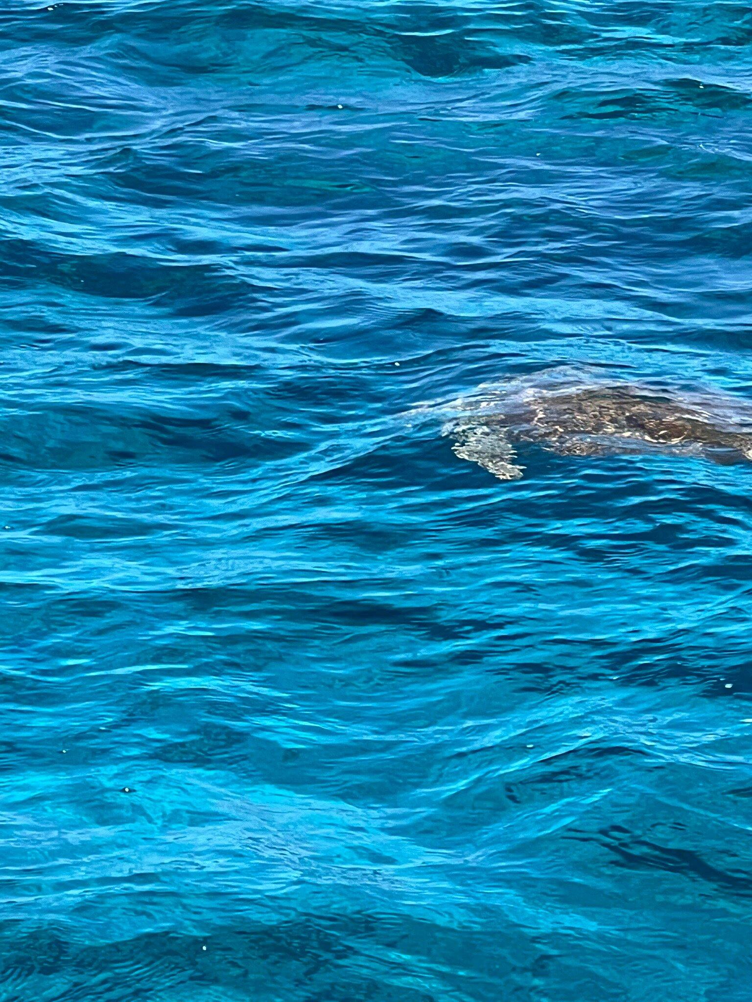 Photo by Jodonna1959