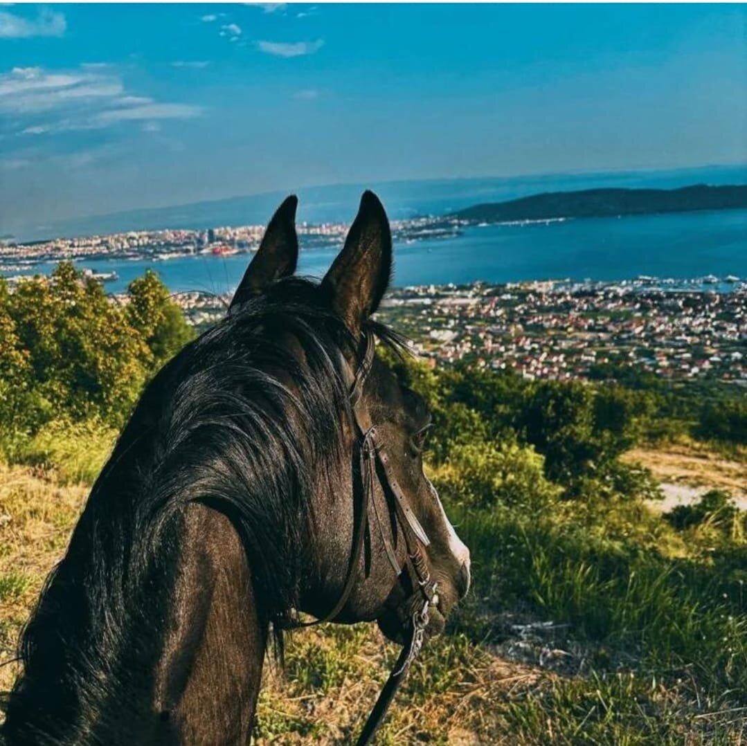 Horseback riding Kastela