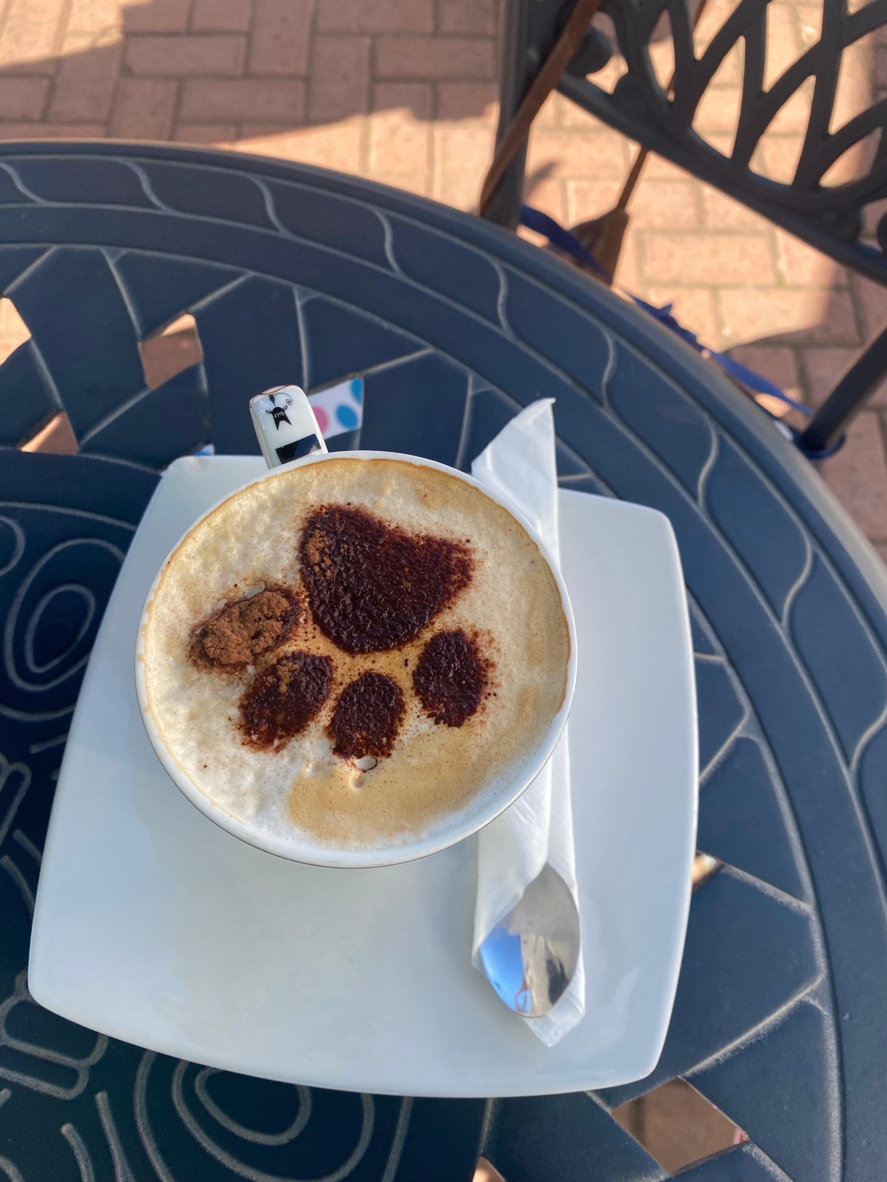 Cat Heaven Rescue Cat Cafe