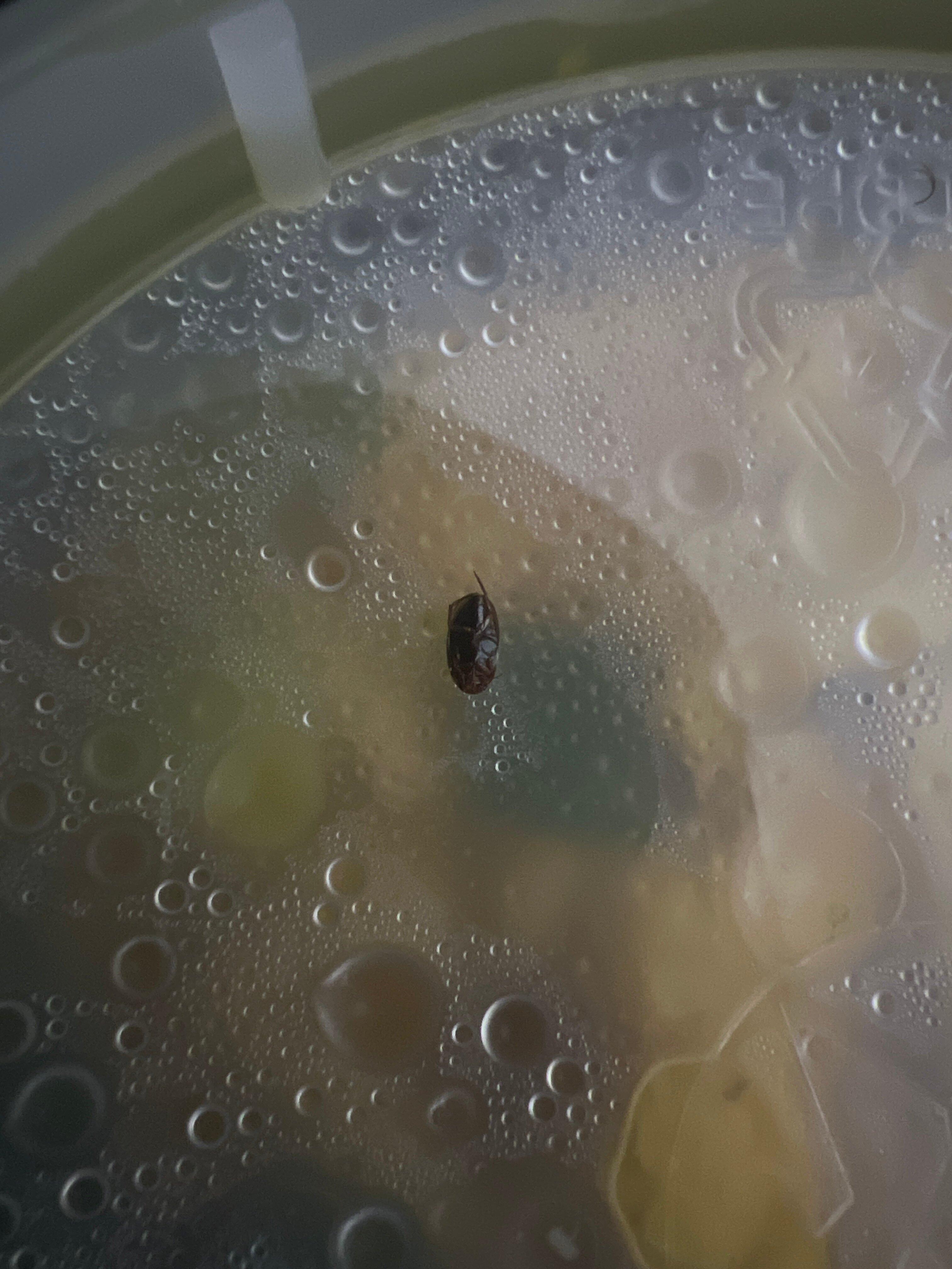 Photo by Brittanny G