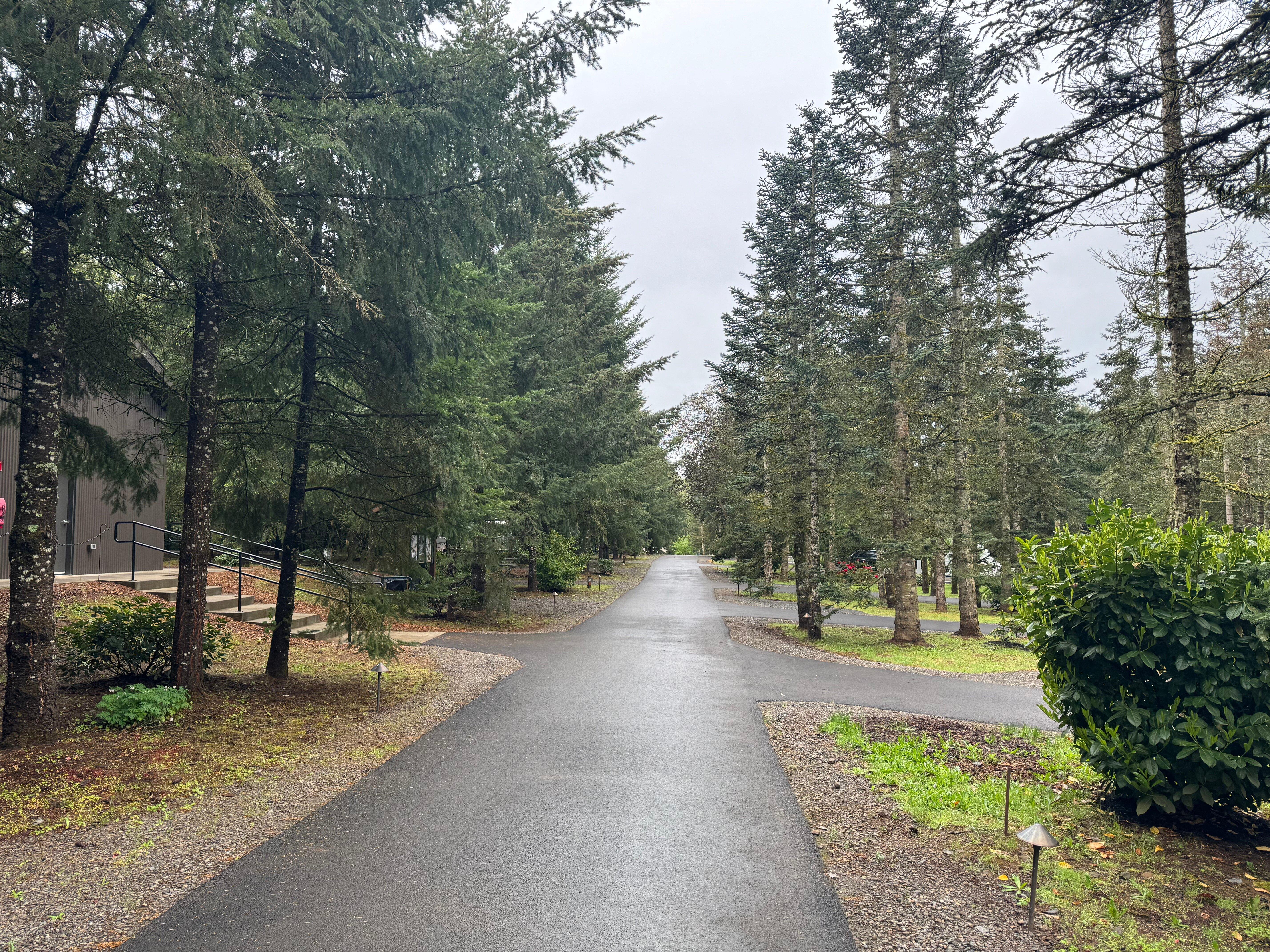 Photo by Happiness817178