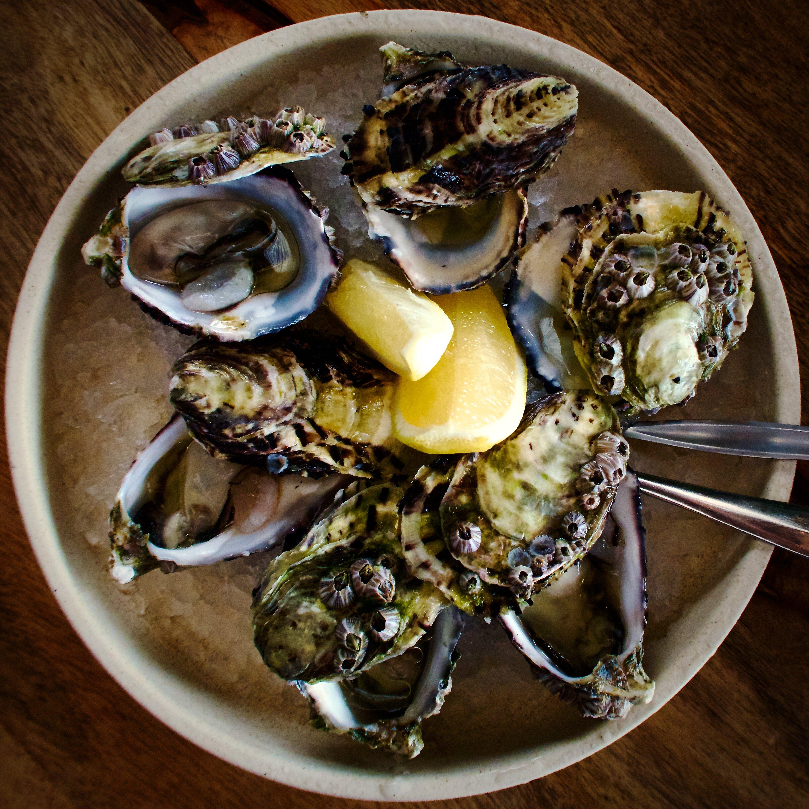 Photo by normanj2024