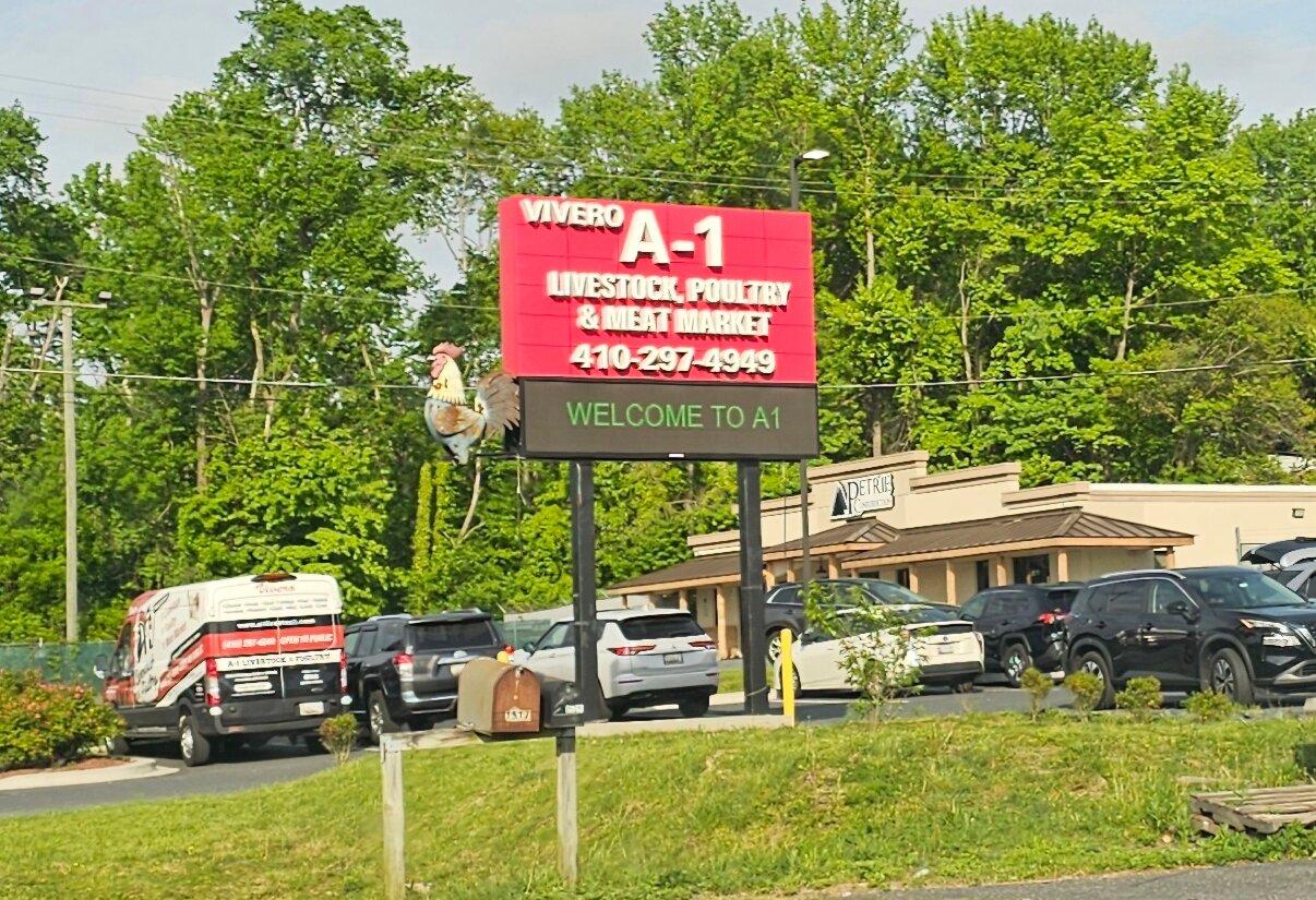 Photo by 703BillB703