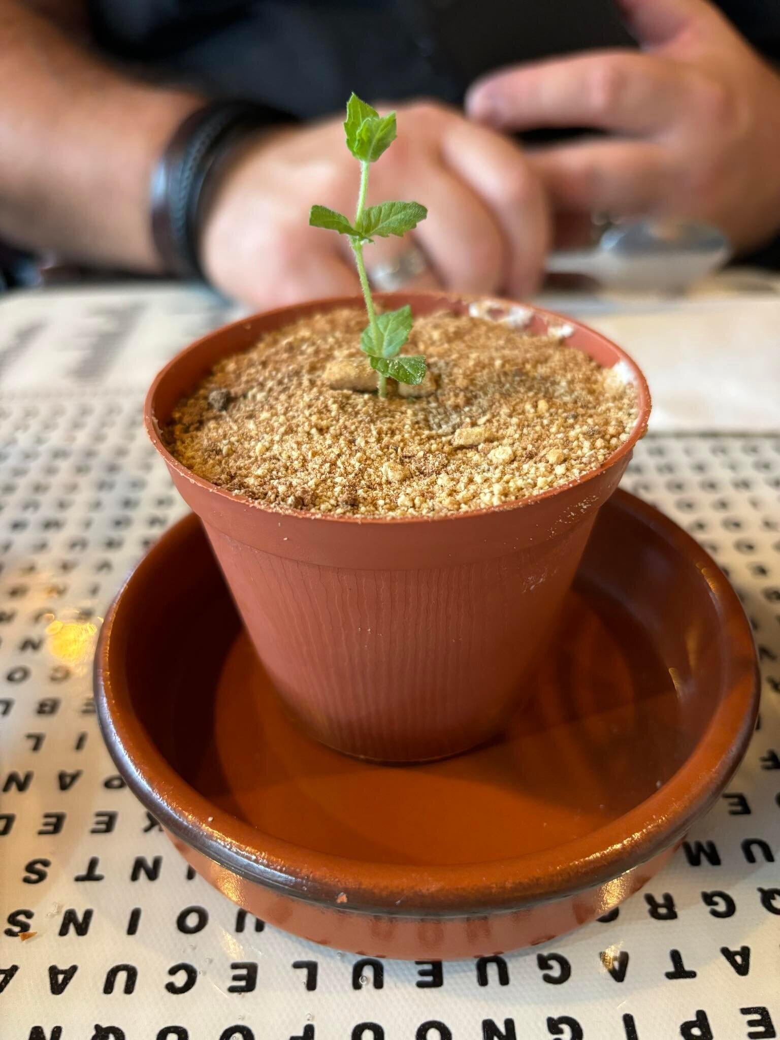 Taverne Adéloise - Gueule de loup