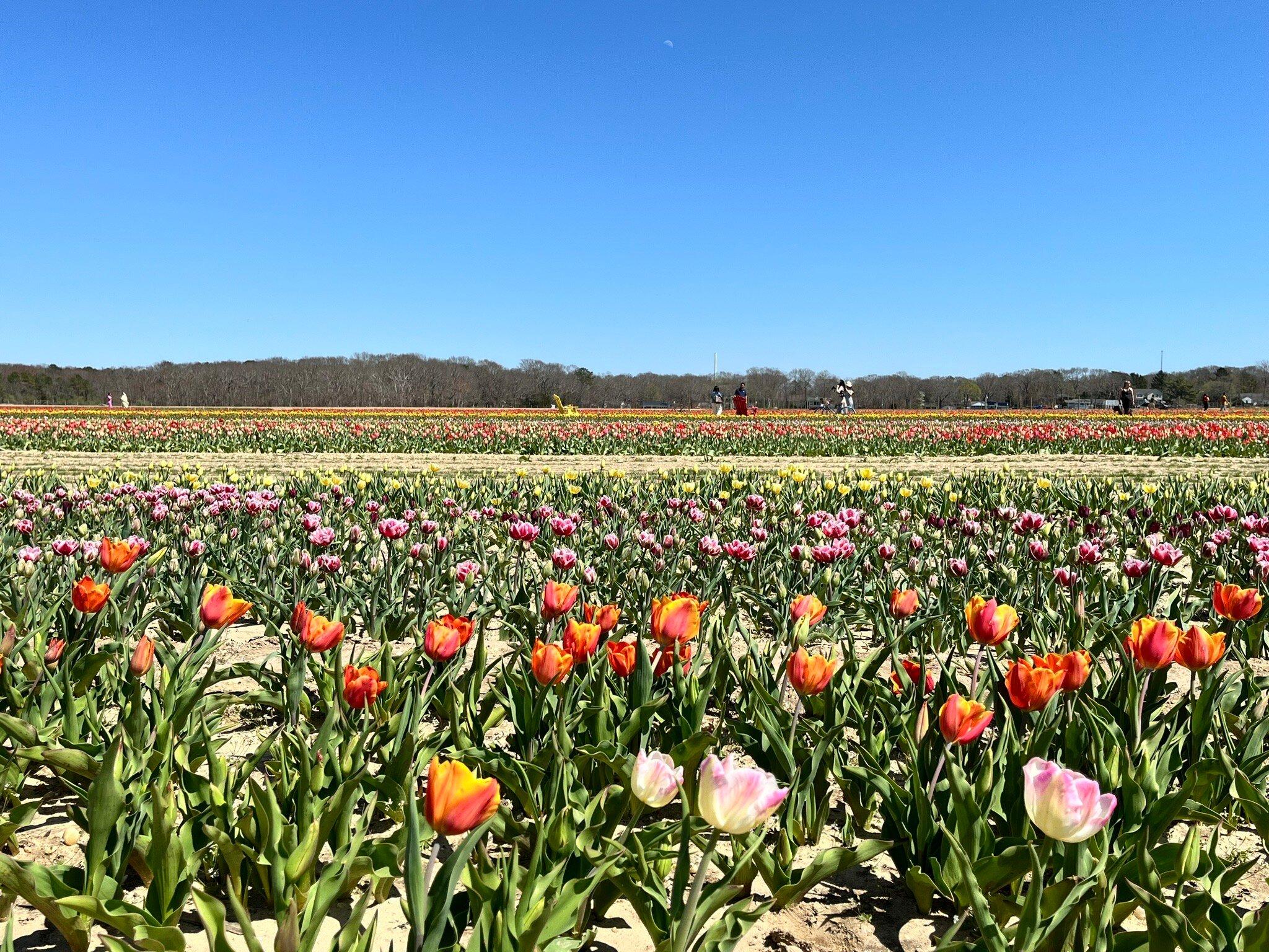 Waterdrinker Family Farm & Garden