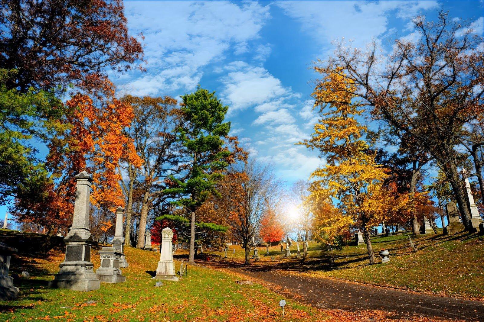Ferncliff Cemetery and Arboretum