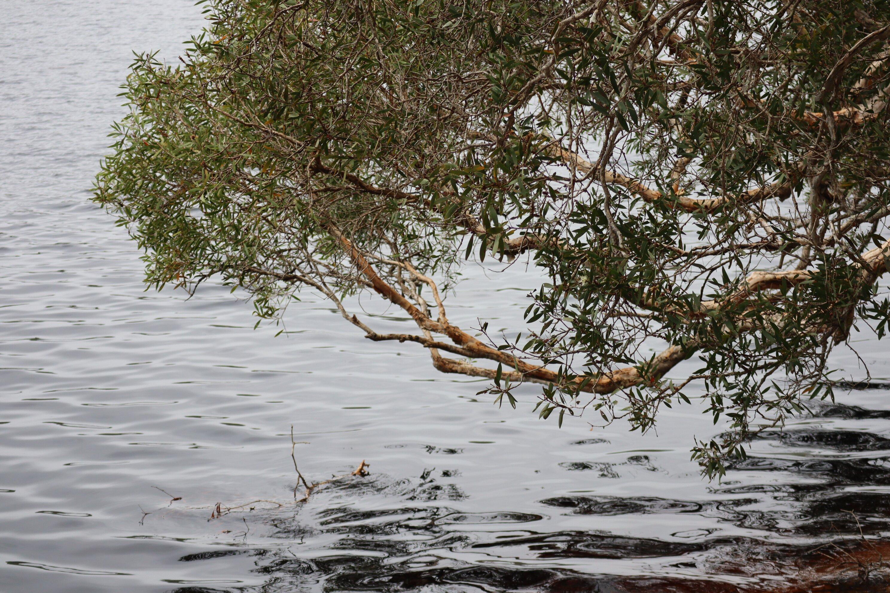 North Stradbroke Island