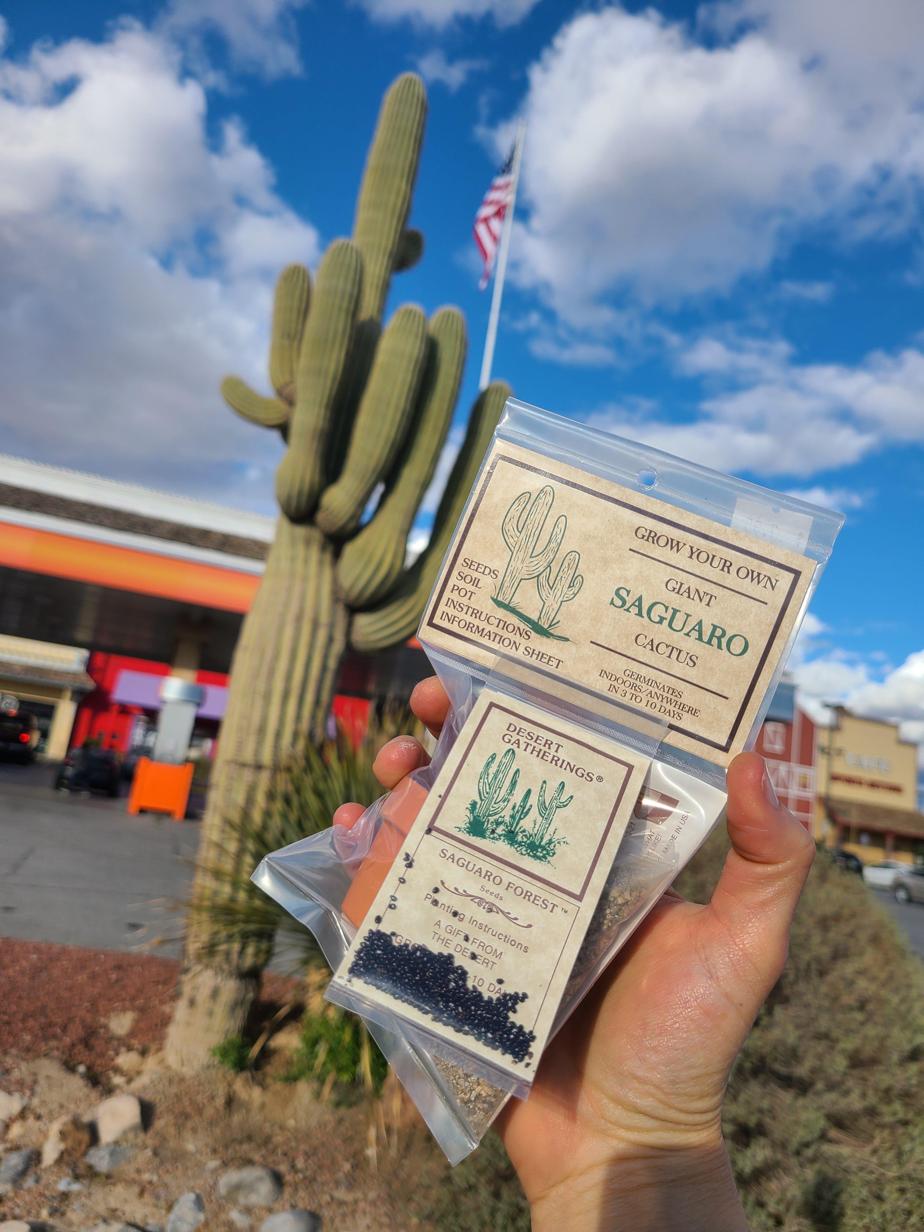 Death Valley Marketplace